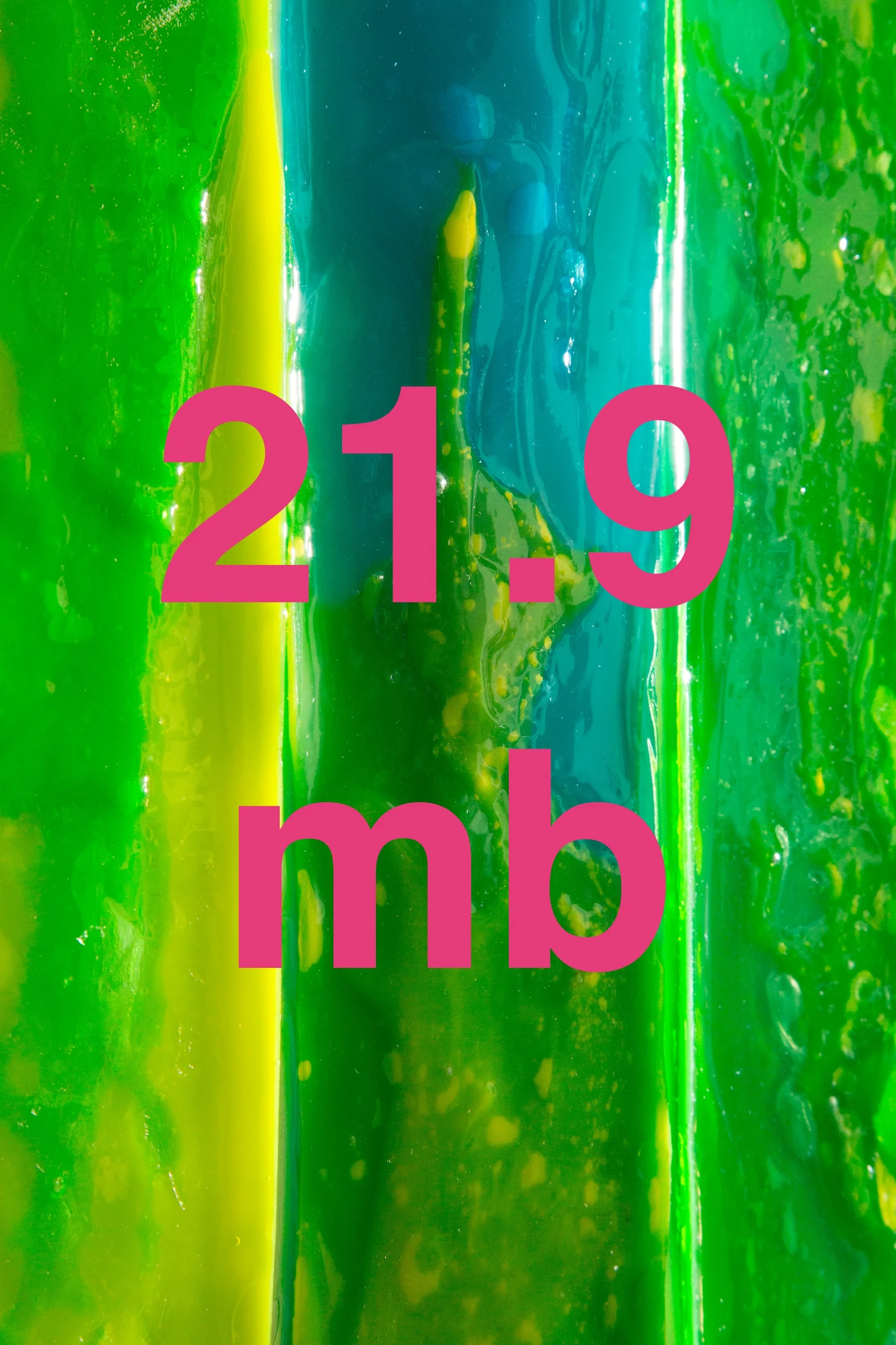 processed_size-over-20mb.jpeg