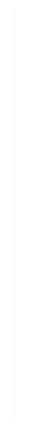 divider for Squarespace Web Designer