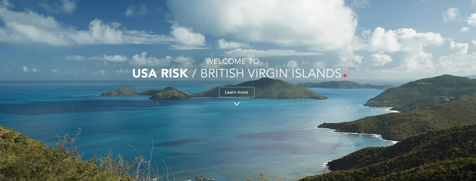 USA Risk BVI Capitve Insurance .png