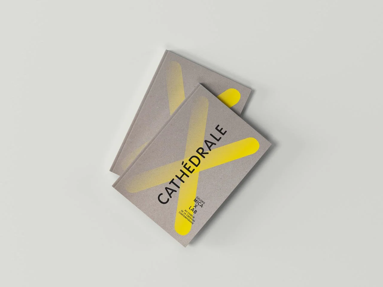 CAMPAGNE " CATHÉDRALE AU CHŒUR DE LA CRÉATION CONTEMPORAINE "