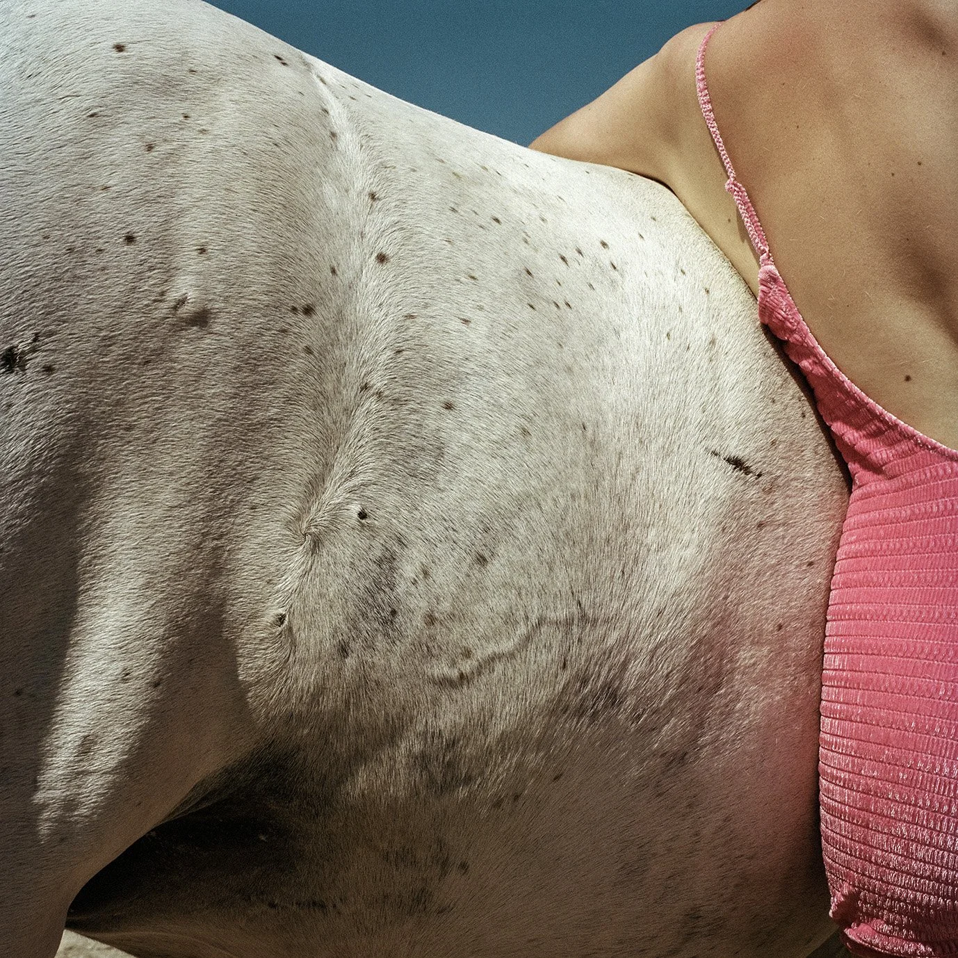 Sois Belle 11.37 .jpg