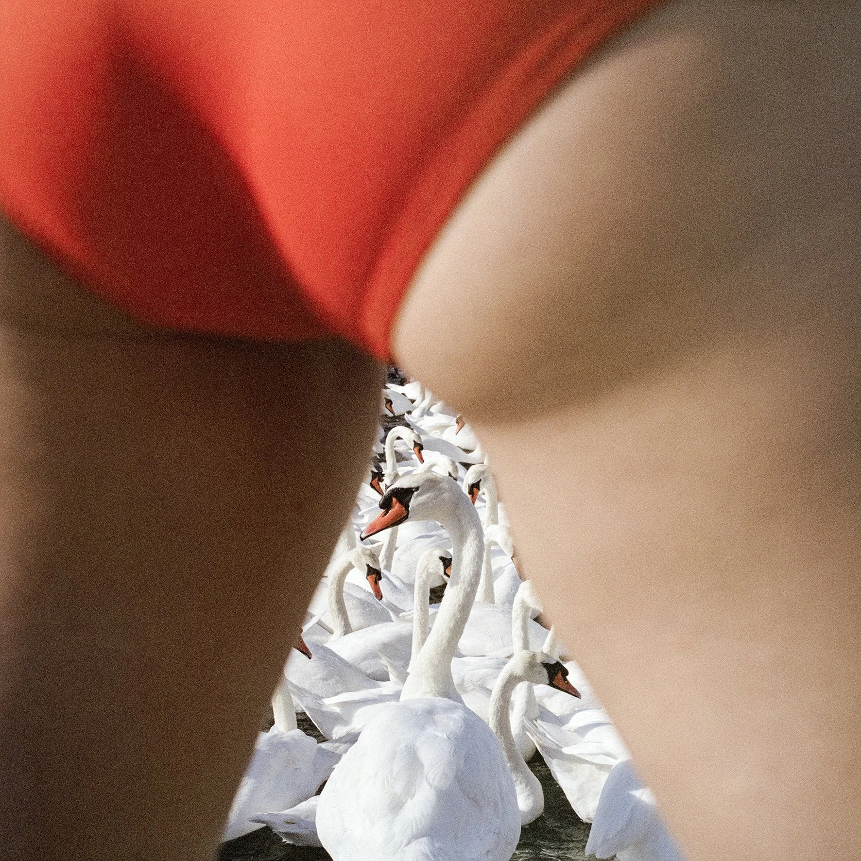 Sois Belle 11.47 .jpg