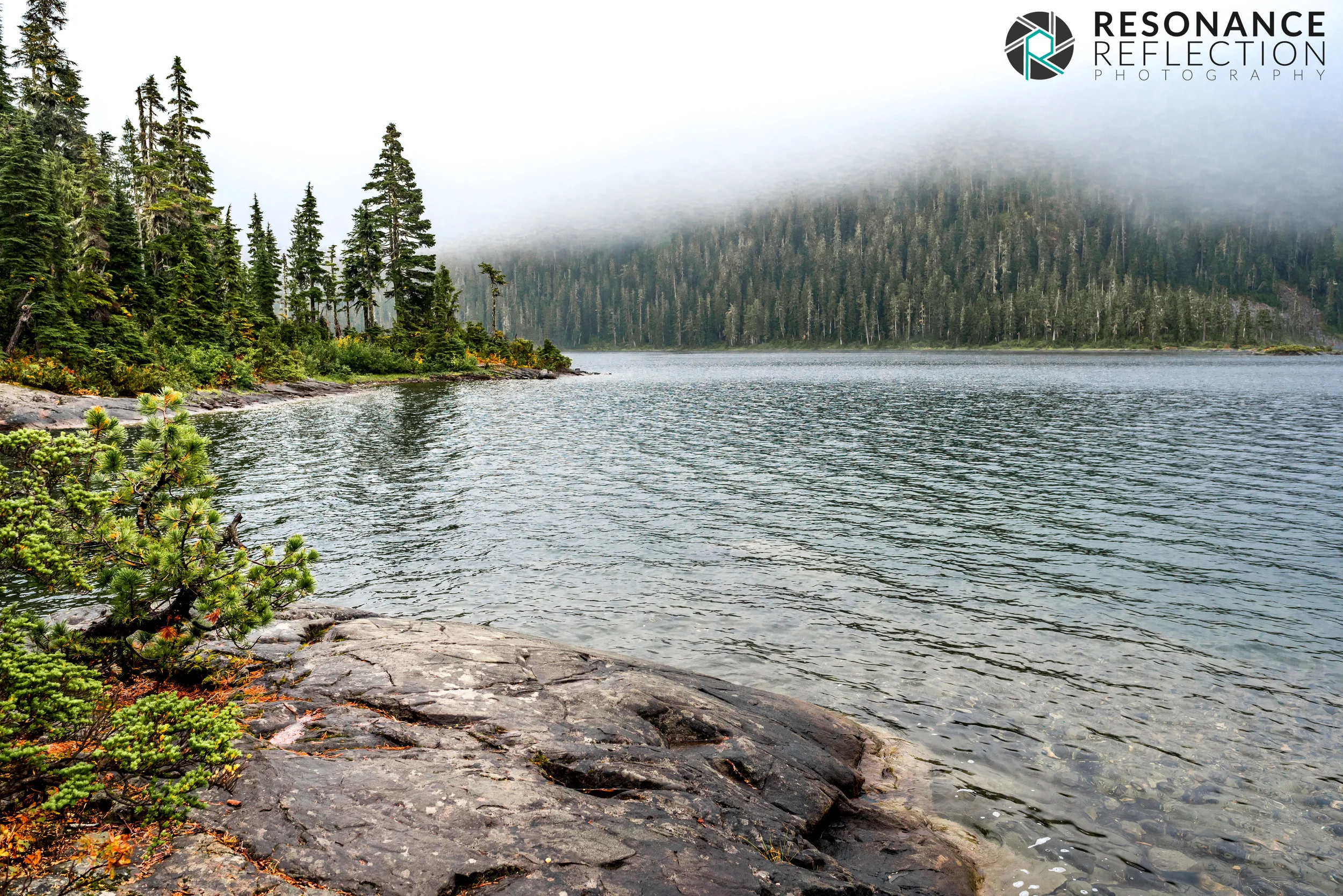 Location: Strathcona Provincial Park. Vancouver Island, British Columbia, Canada.
