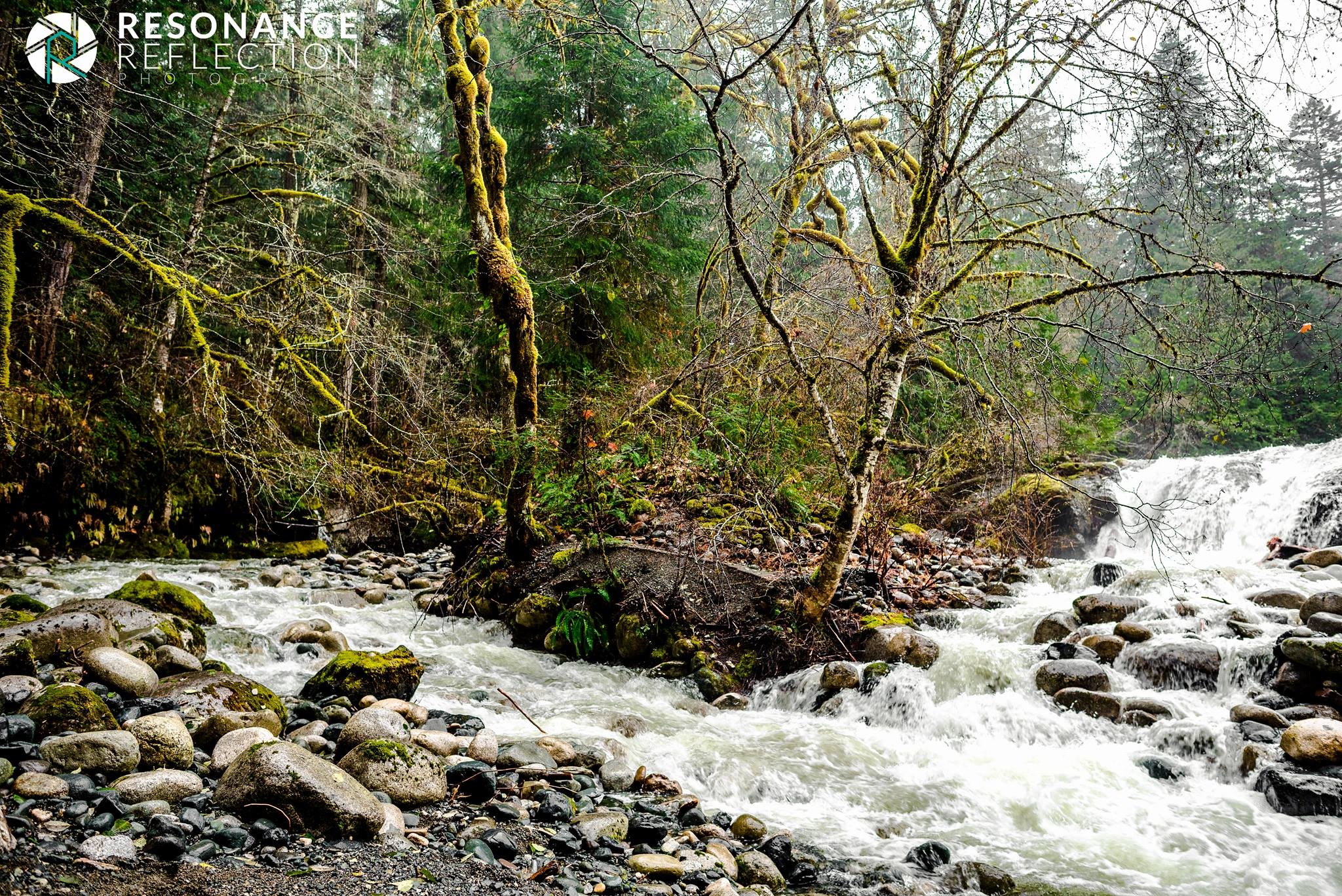Location: Englishman River Falls. Vancouver Island, British Columbia, Canada.