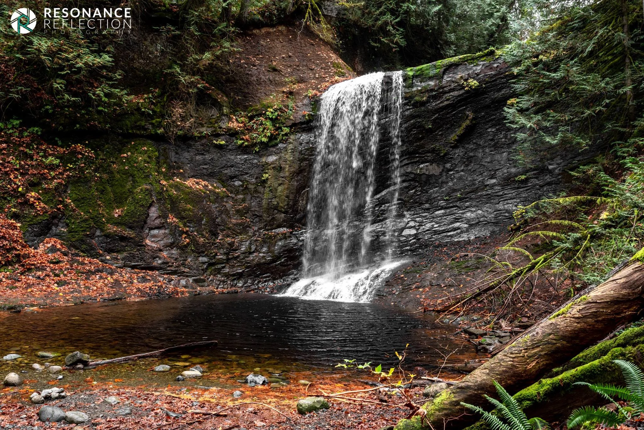 ammonite falls.jpg