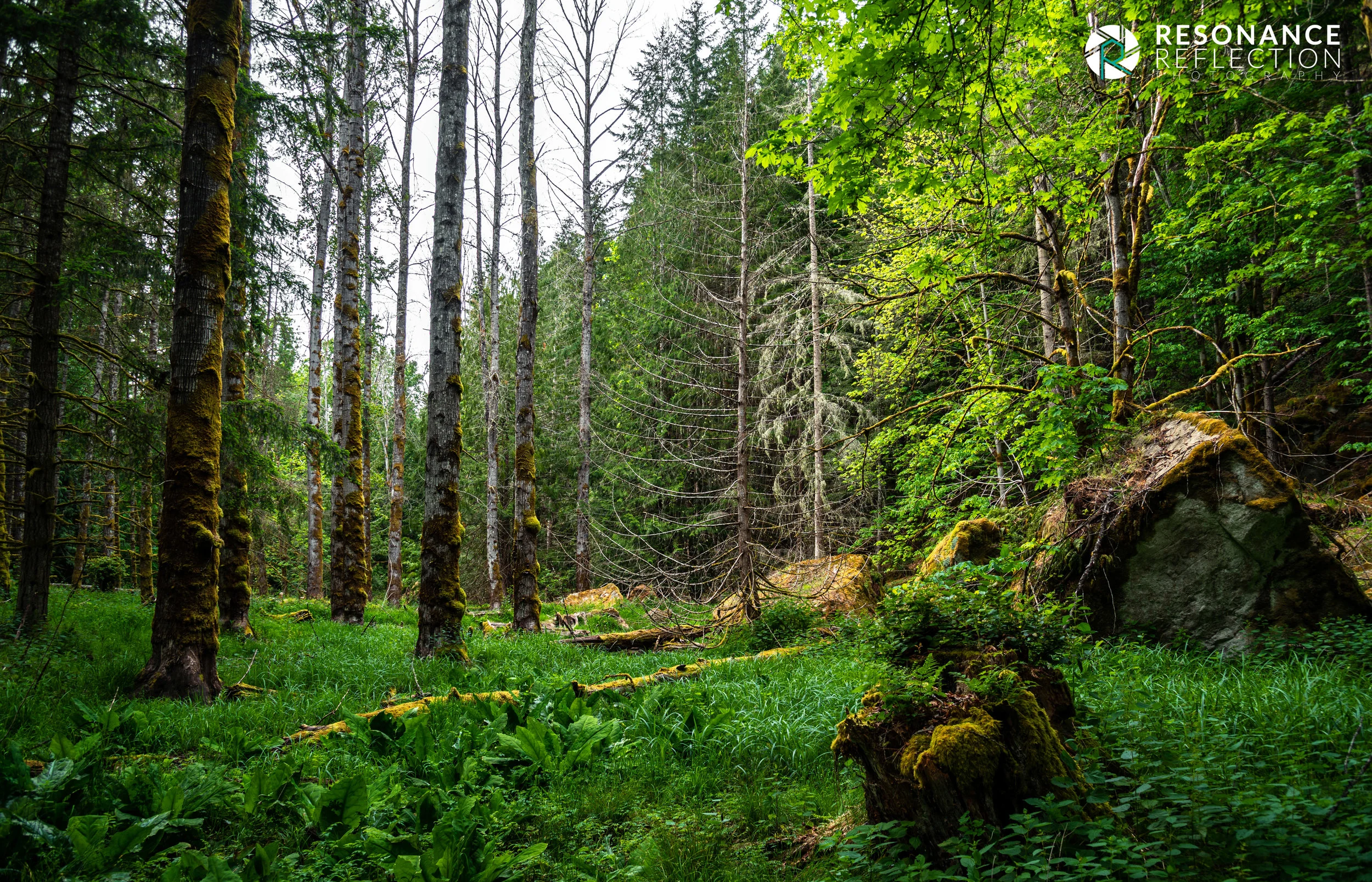 woods galiano.jpg