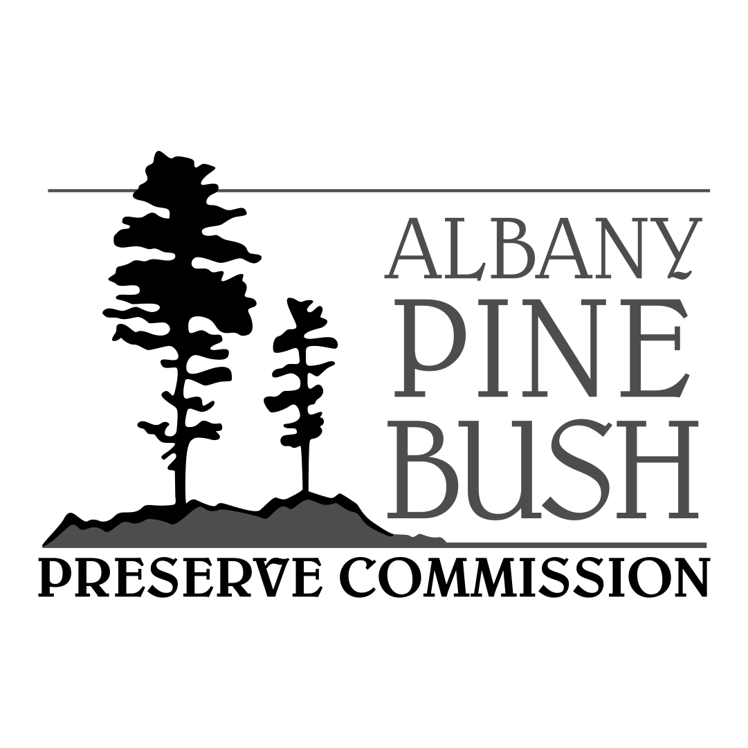 Albany Pine Bush.png