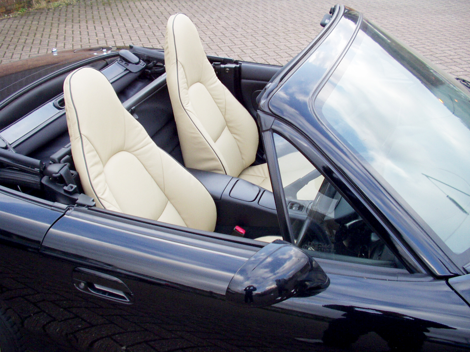 P3100009.JPG