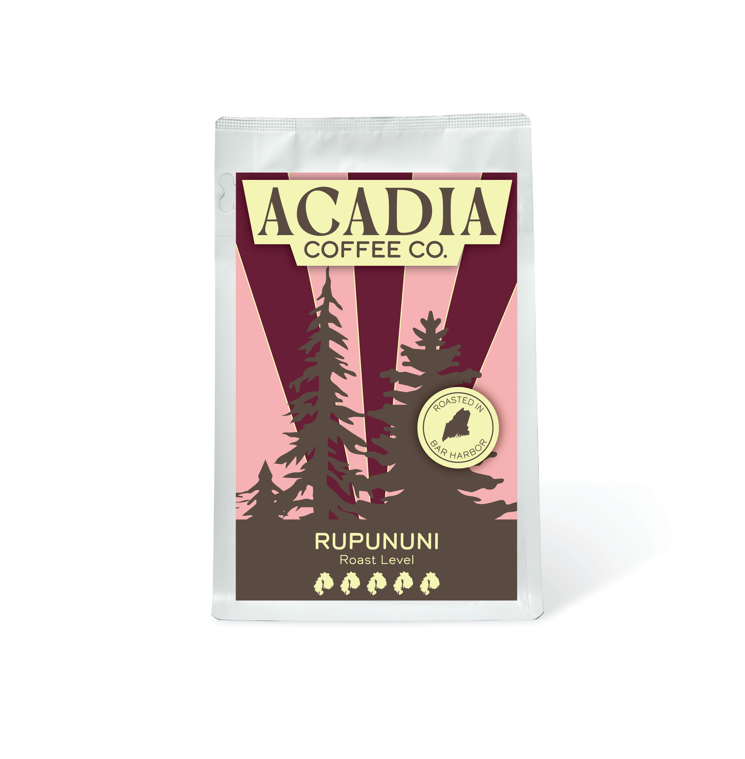 rupununi mock up.png