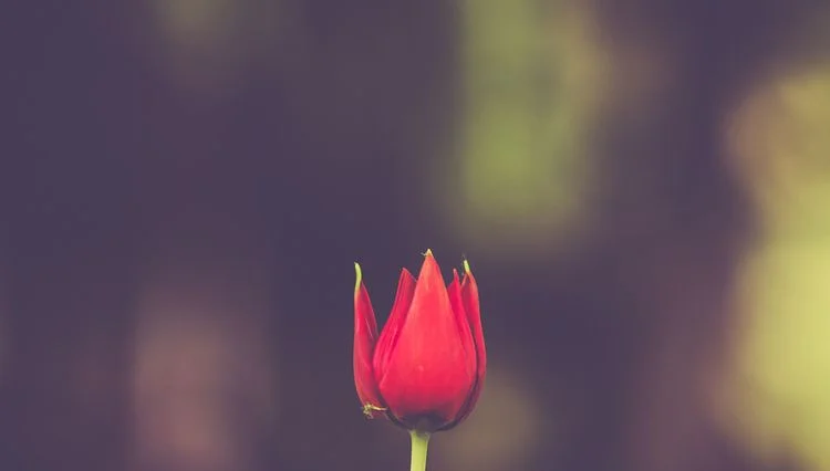 Episode #23: Hope For When You Feel Like a Failure