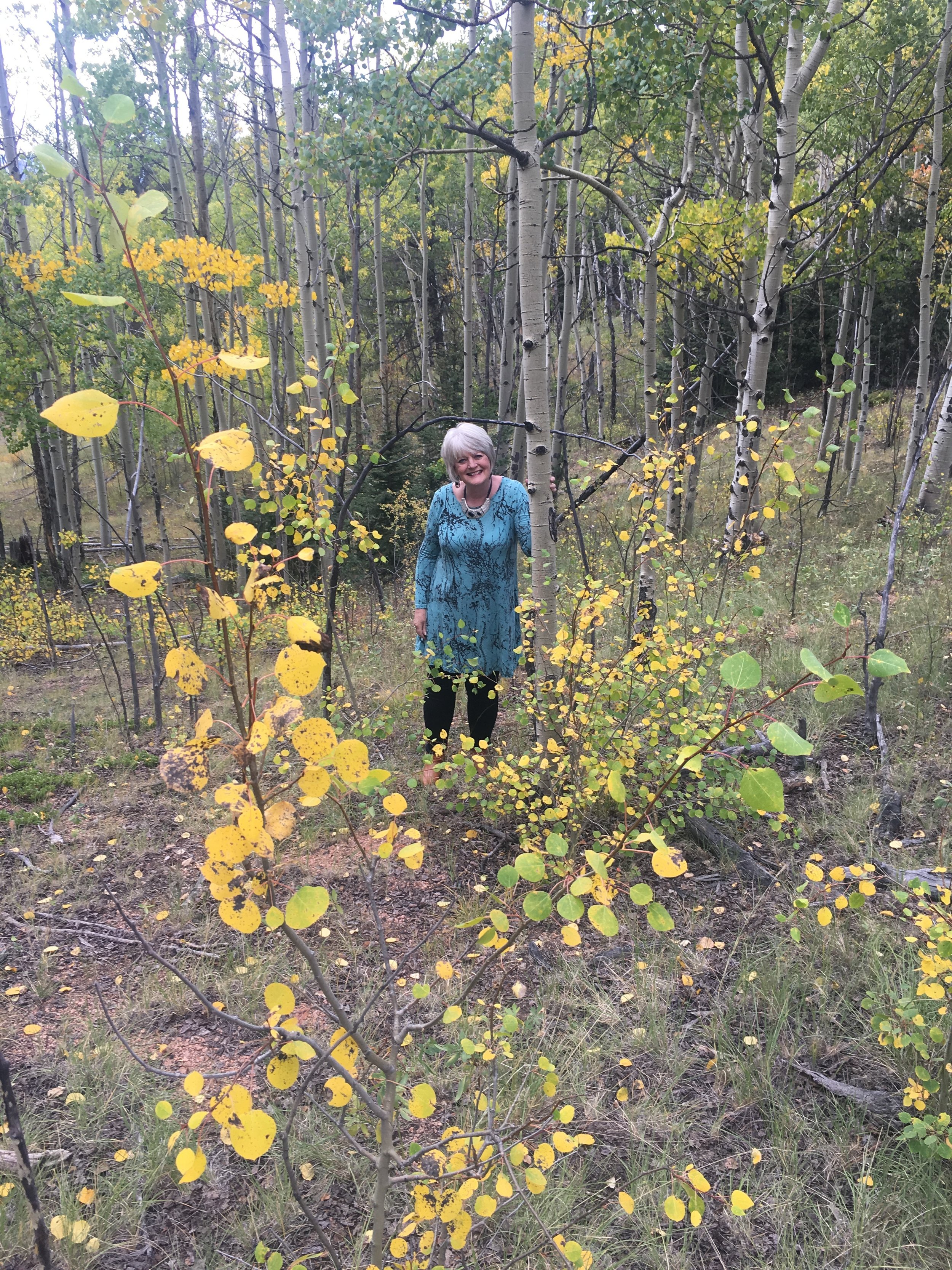 Hiking in my Colorado mountains. Joel was with me and he said, "Mom, look up!" And so he caught me amidst these golden beauties. 