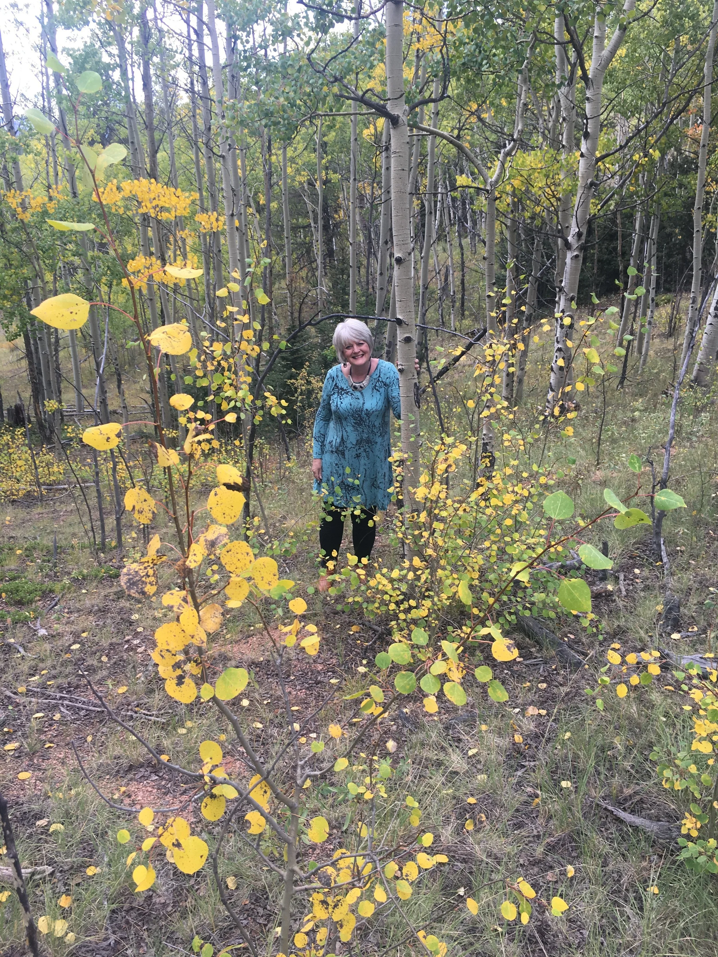 A Book Begins with a Question...Join us For a New Podcast Series