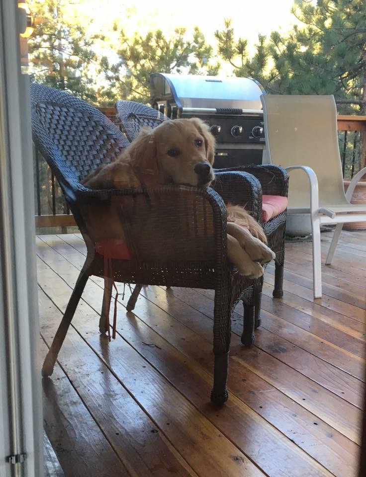 Please, please let me come in to be with all of your friends!
