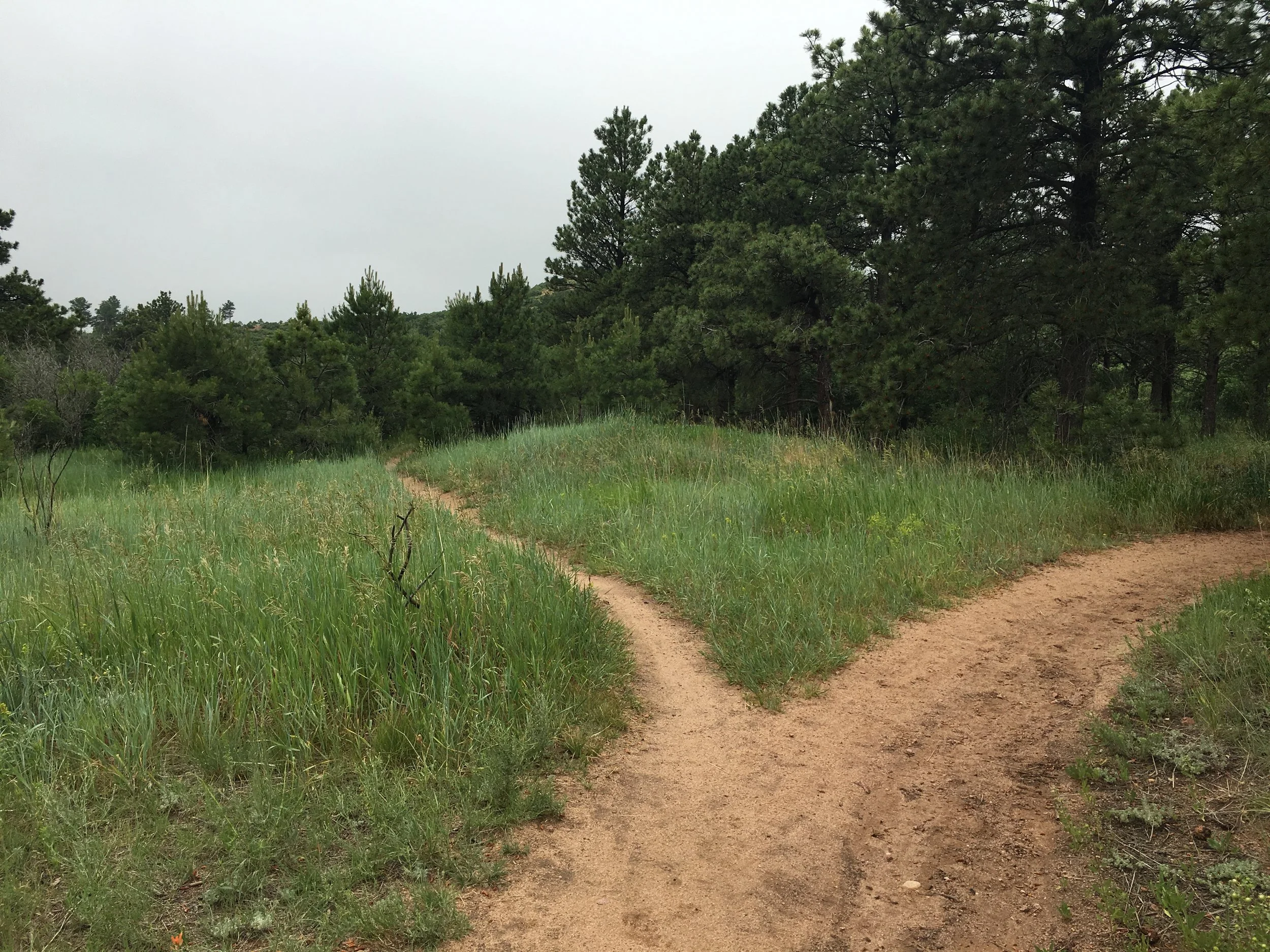 The Road Less Traveled Revisited, A Time to Chart our Course