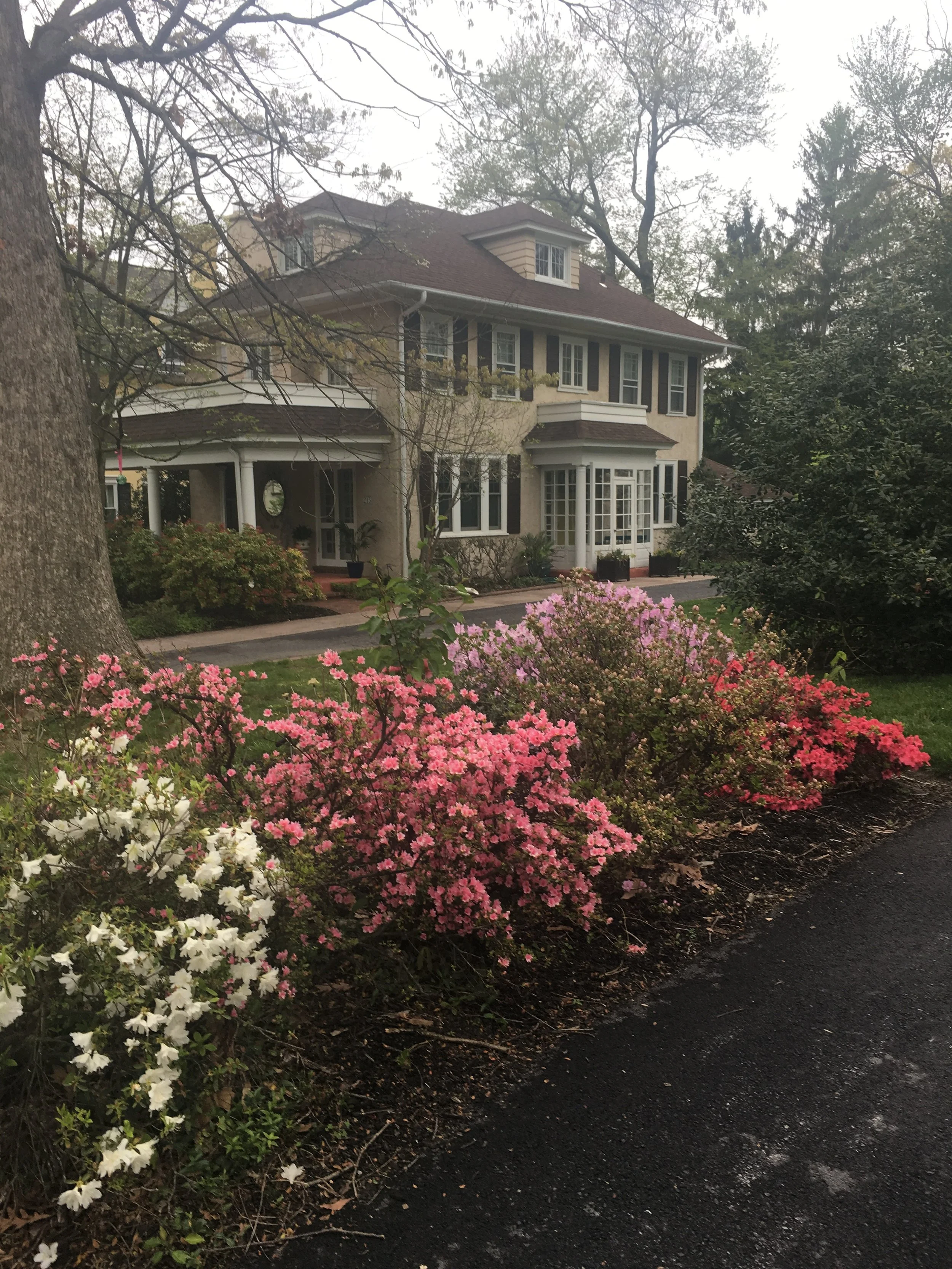 Walking each week along the pathway of old, Victorian homes, gave us hours of girlfriend pleasure.