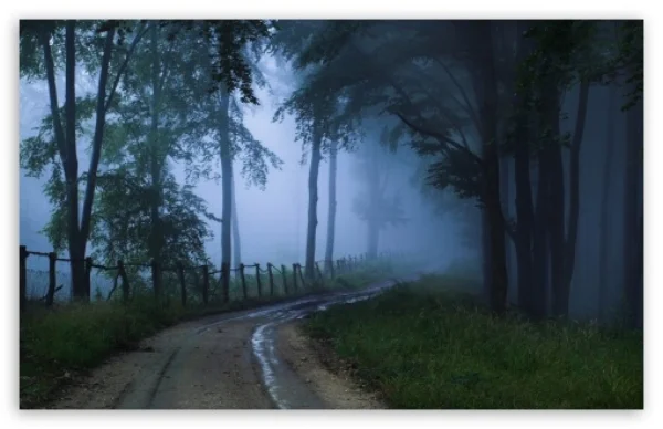 misty_road_2-t2.jpg
