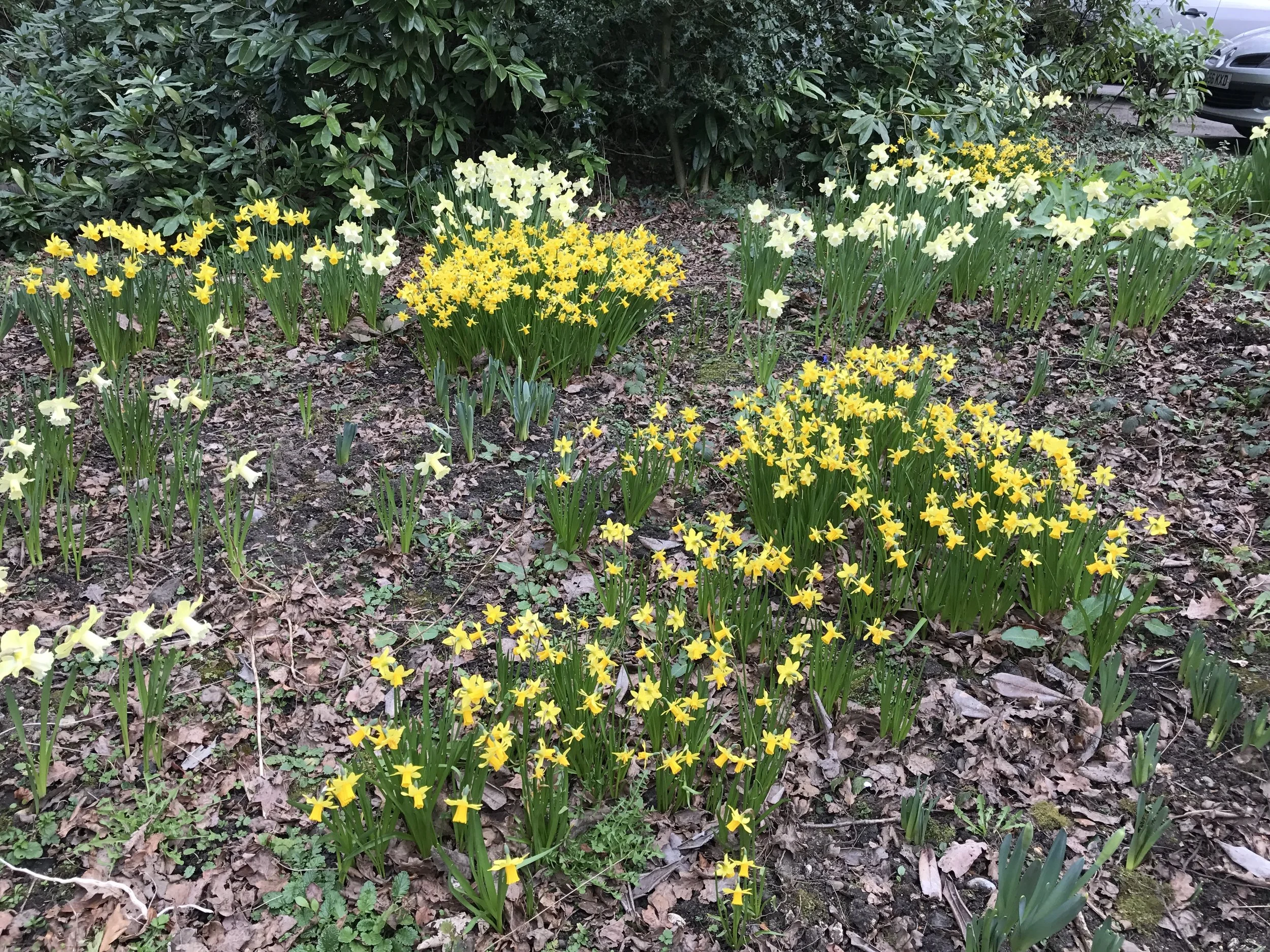 The Unstoppable, Power of Returning Spring: A Glorious Easter to You and Yours