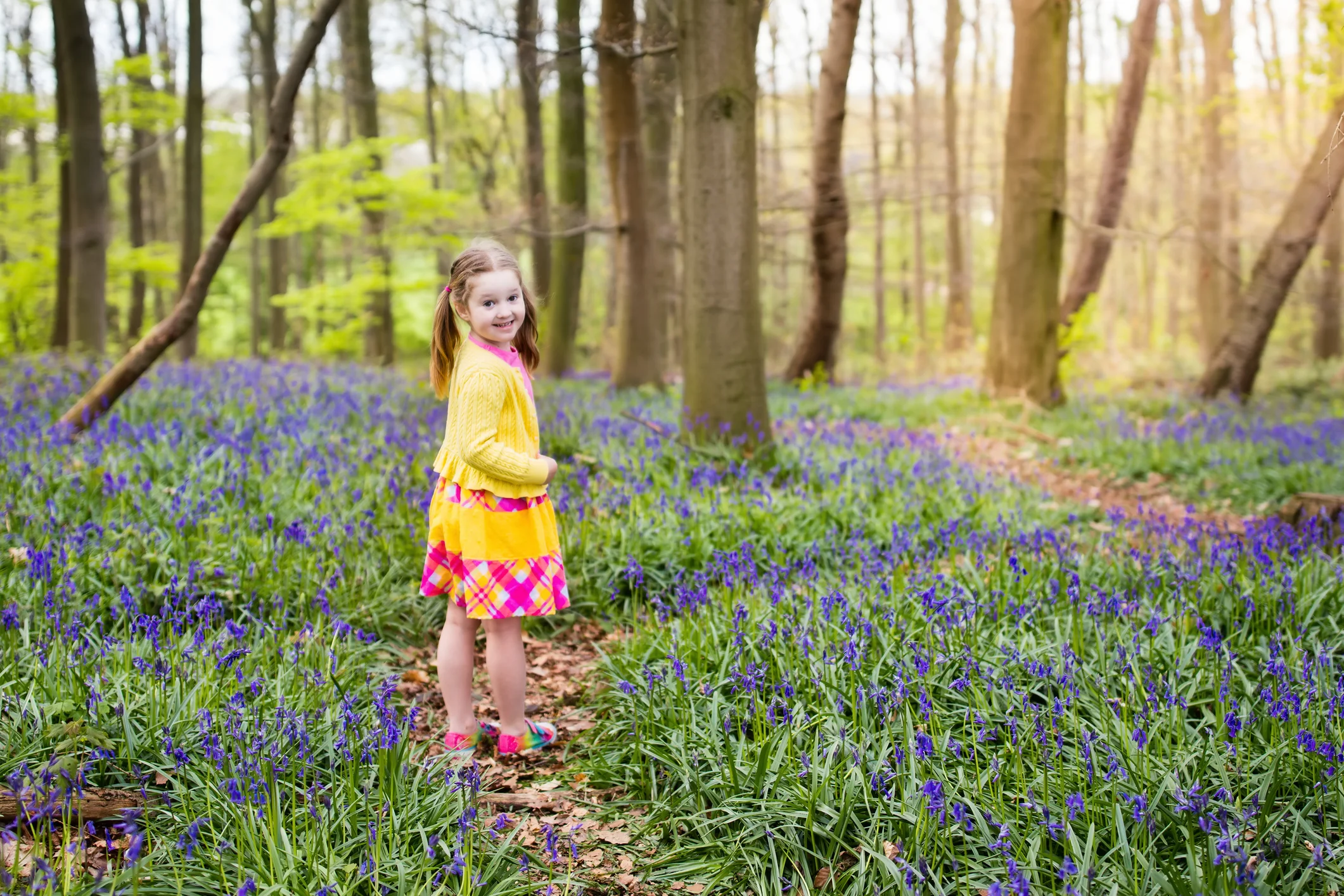 This Spring ... Get Outside to See God's Glorious Art