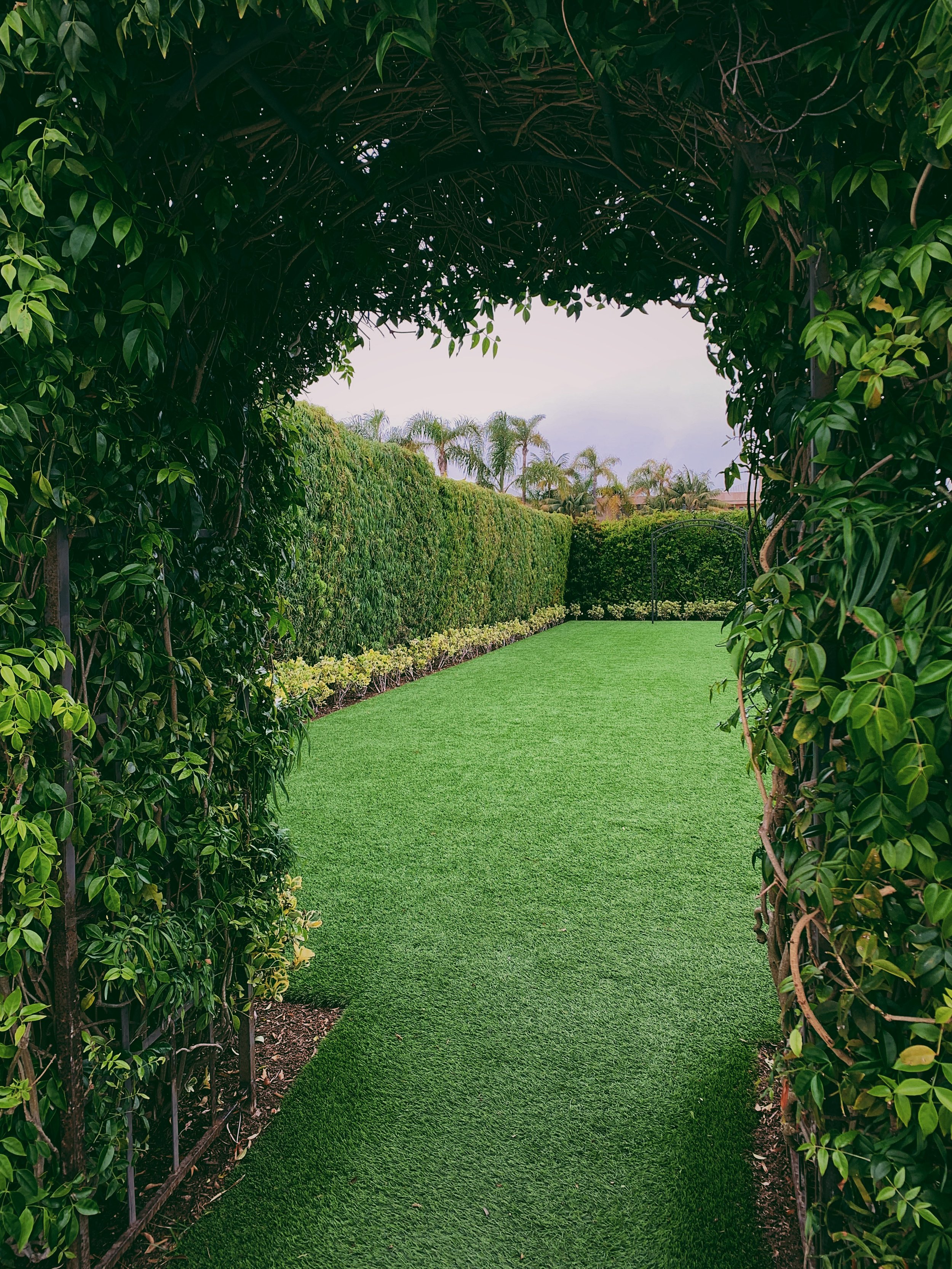 God’s Word is a hedge of protection for our marriage relationship. We can beautify the inner circle of our marriage but we must avoid the dangerous things outside His hedge of protection that would threaten or cause danger to this sacred relationship. Hope you enjoy the podcast.