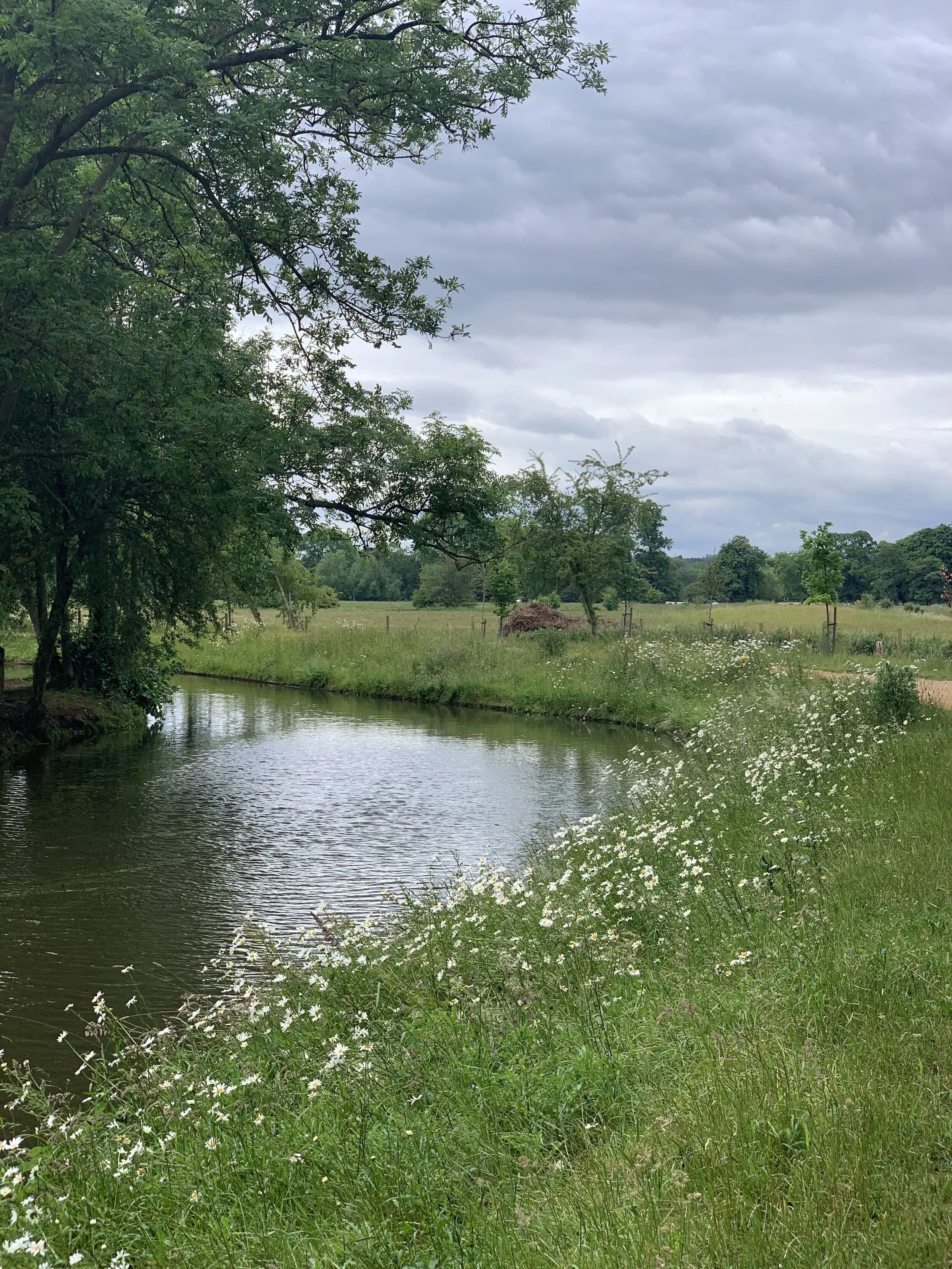 Do Not Fear, For I Am With You & Podcast