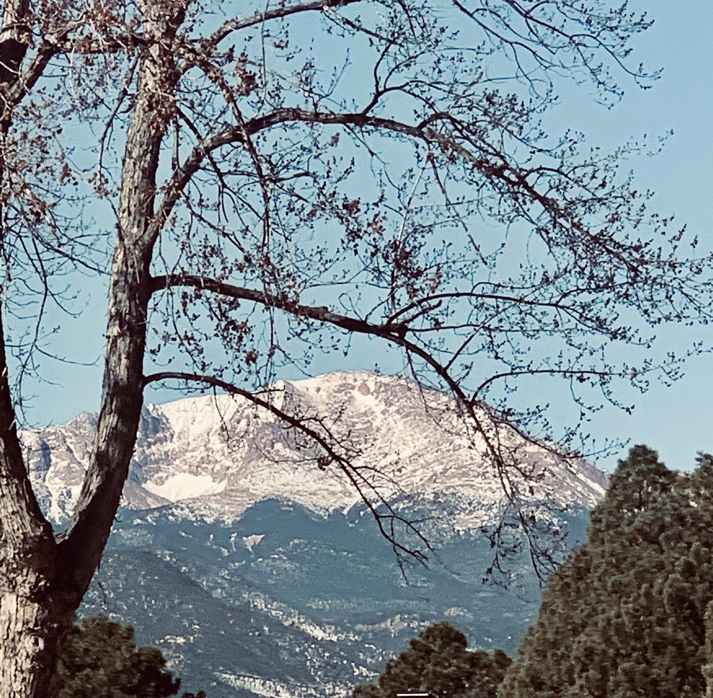 Giving Children A Life of Faith & Podcast