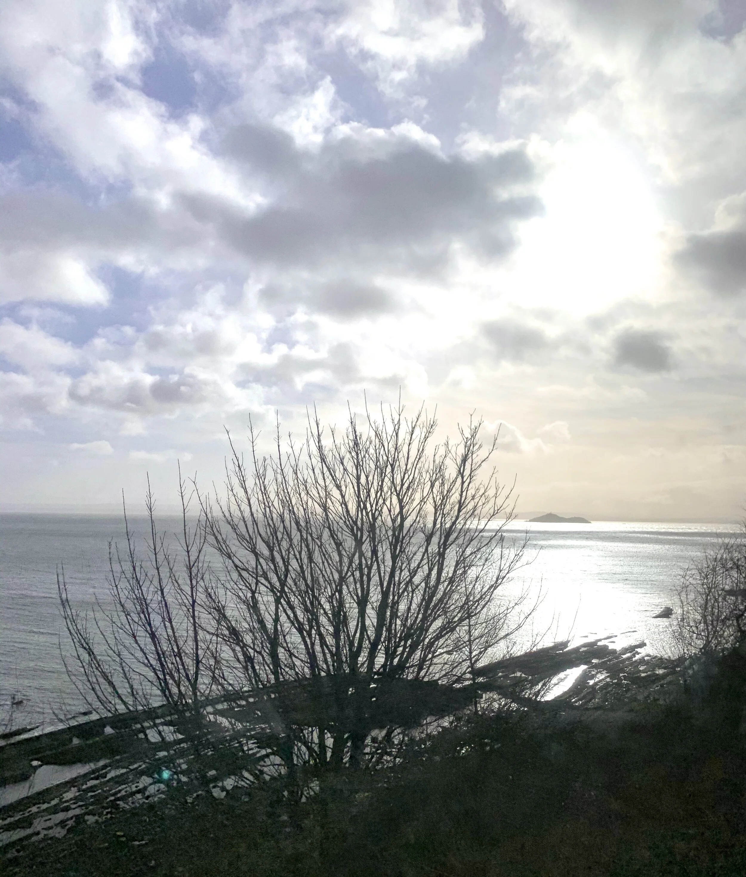 I'm So Sorry For Your Disappointment: Tell Me Your Story