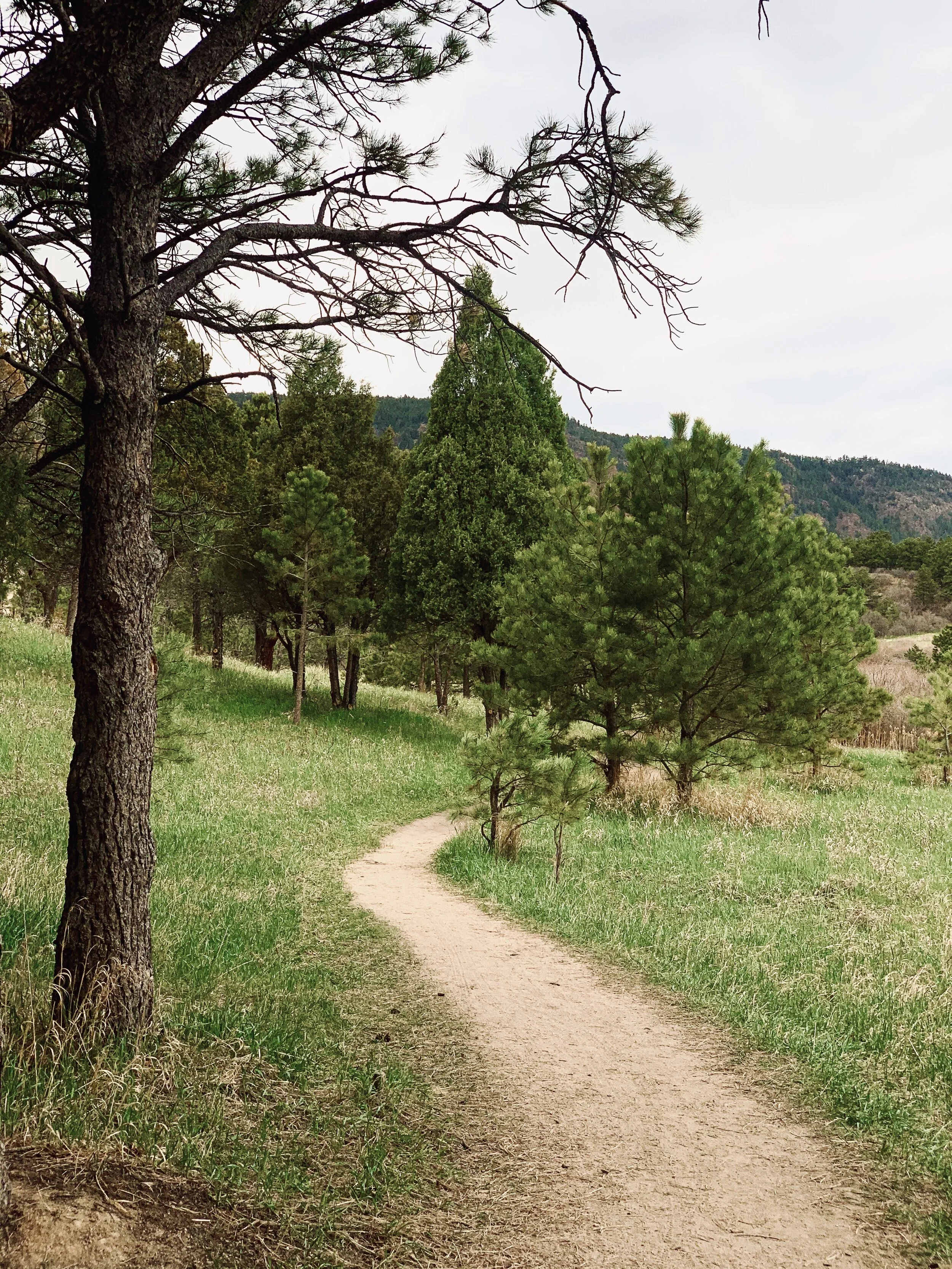 Vision: Finding the Righteous Path &amp; Podcast