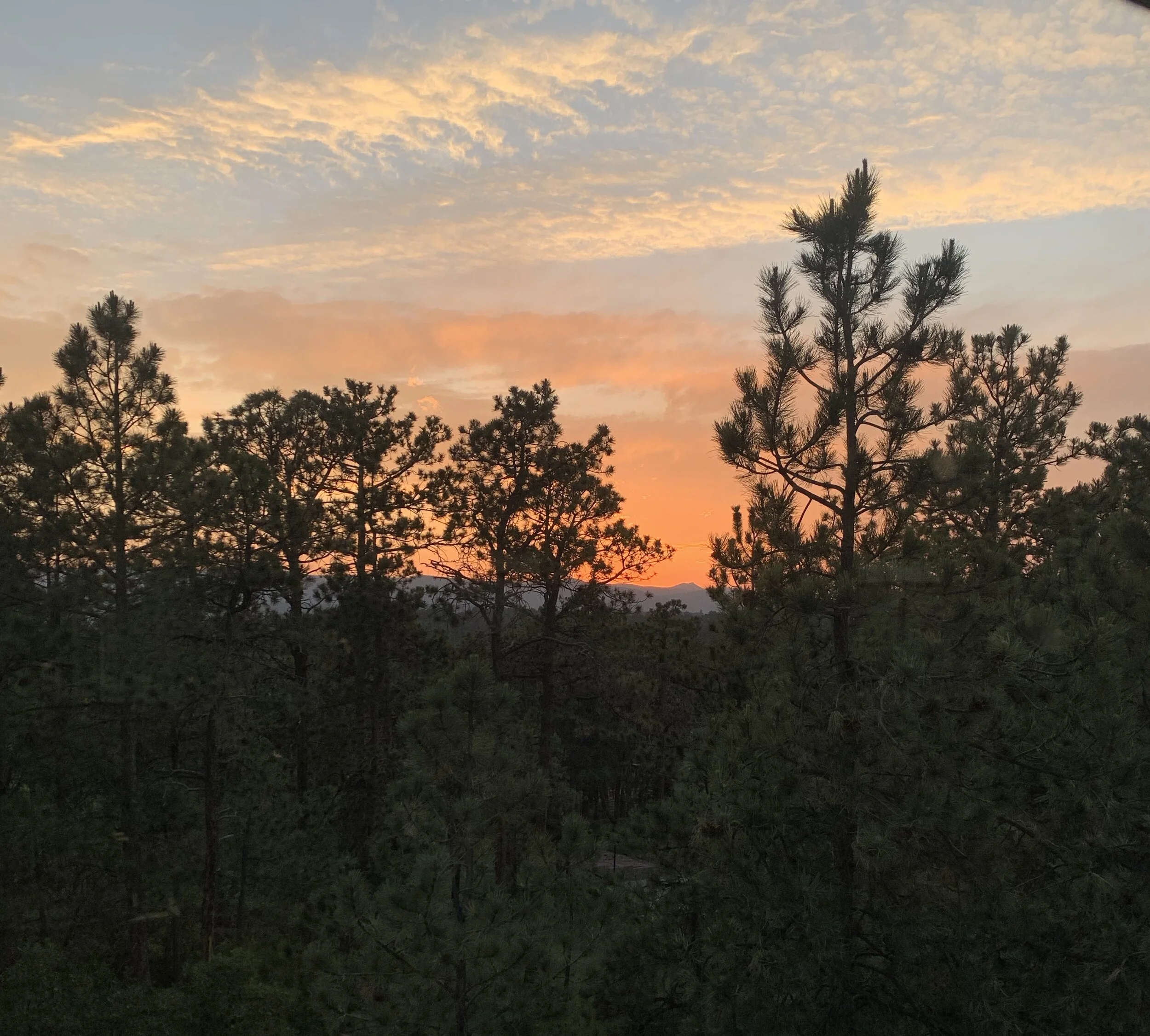 Wait, wait, wait! He is Faithful, You'll See! 