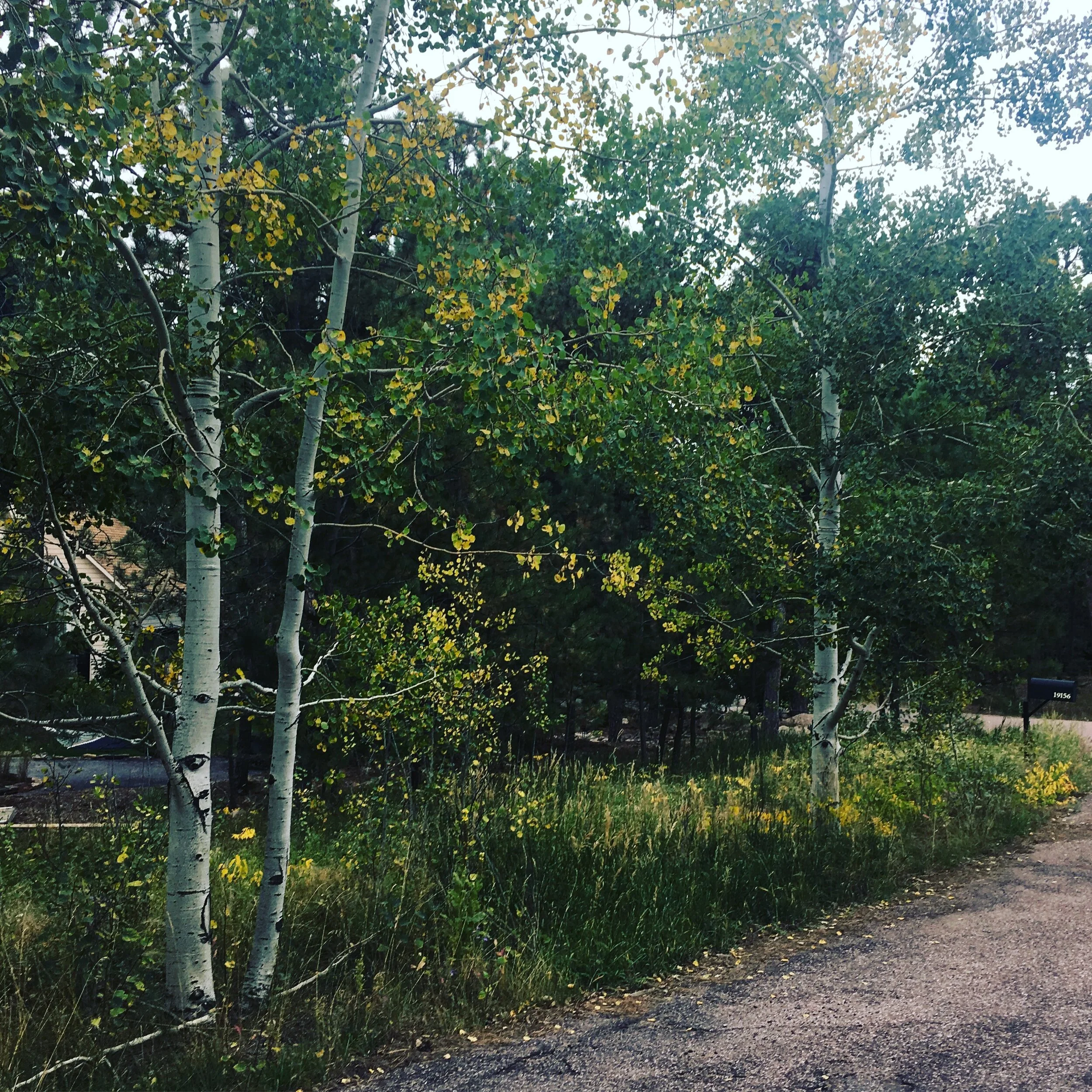 Ever Feel ... Worn Out? Finding a Path Forward