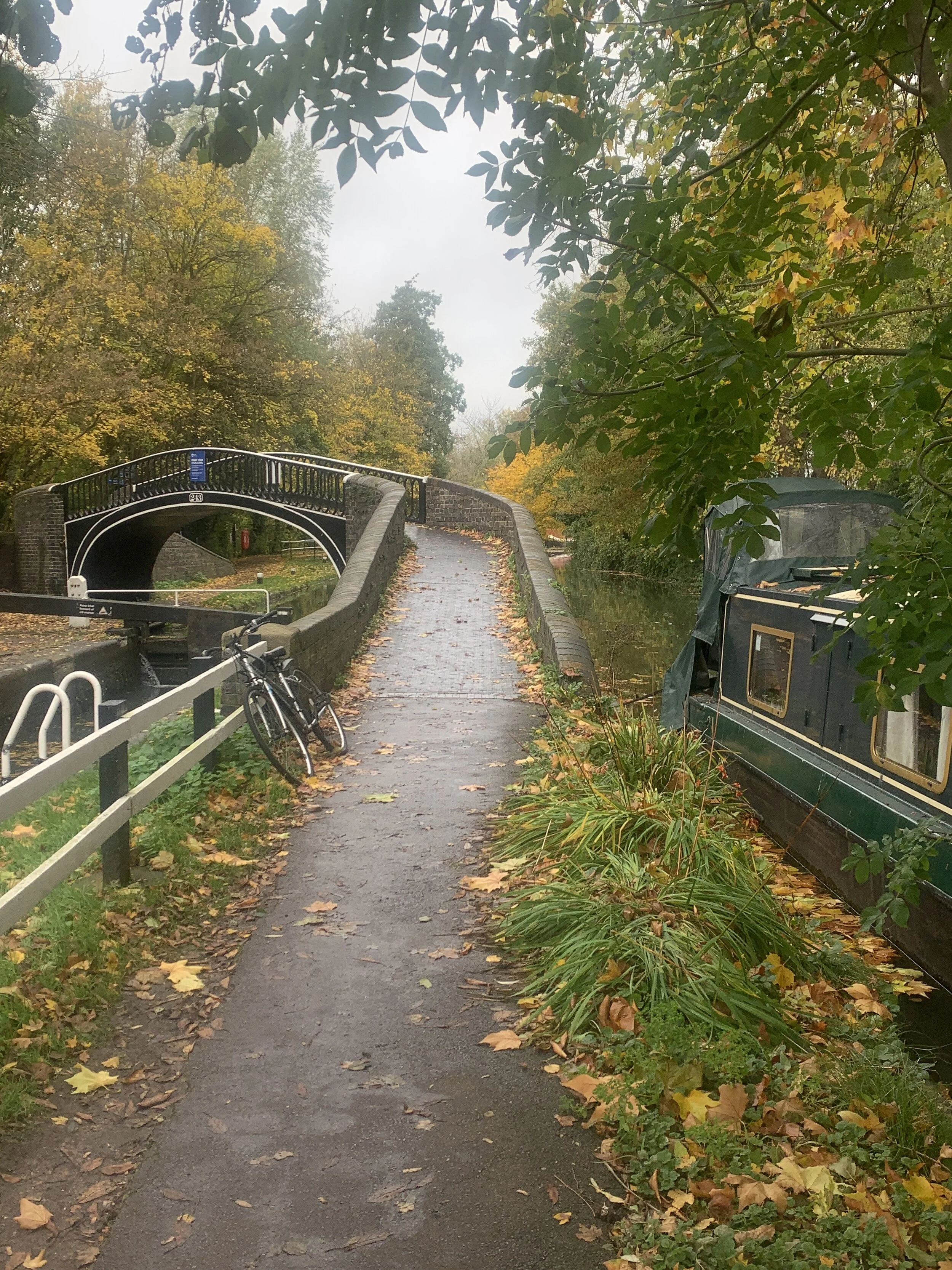 A Difficult Pathway?  Consider It All Joy!