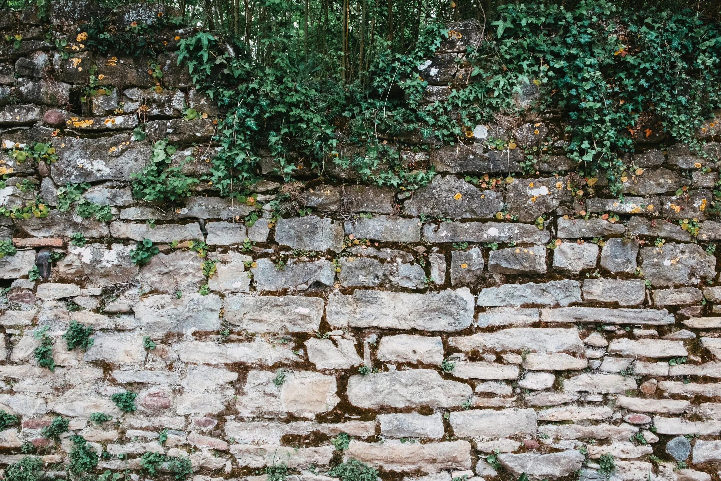 Can I Leap Over This Wall?