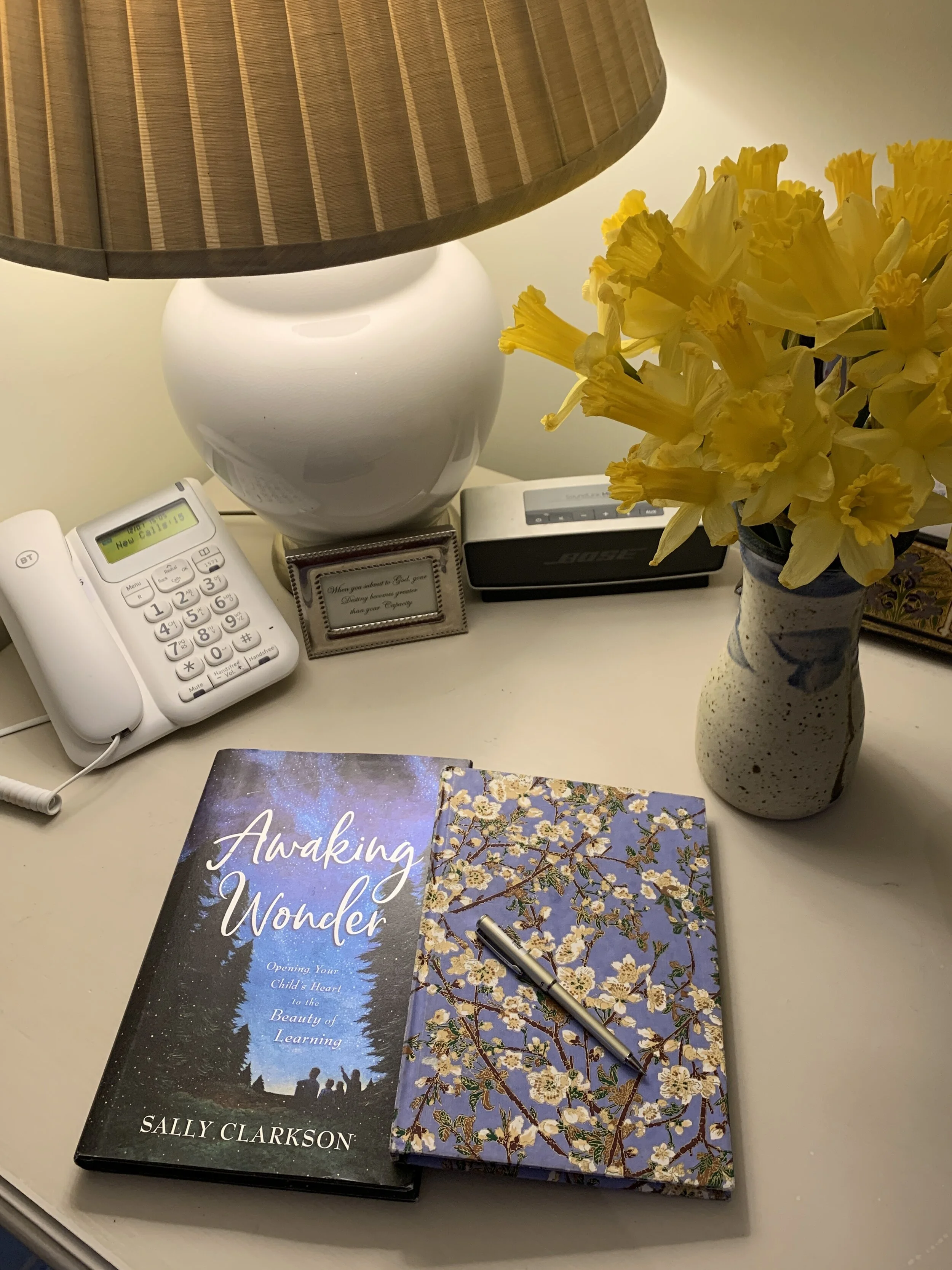 Awaking Wonder: Shaping of a Whole Life Vision