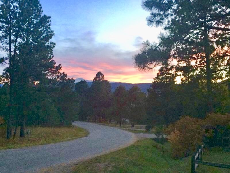 Find His Path for You, Living Into Your Own Journey