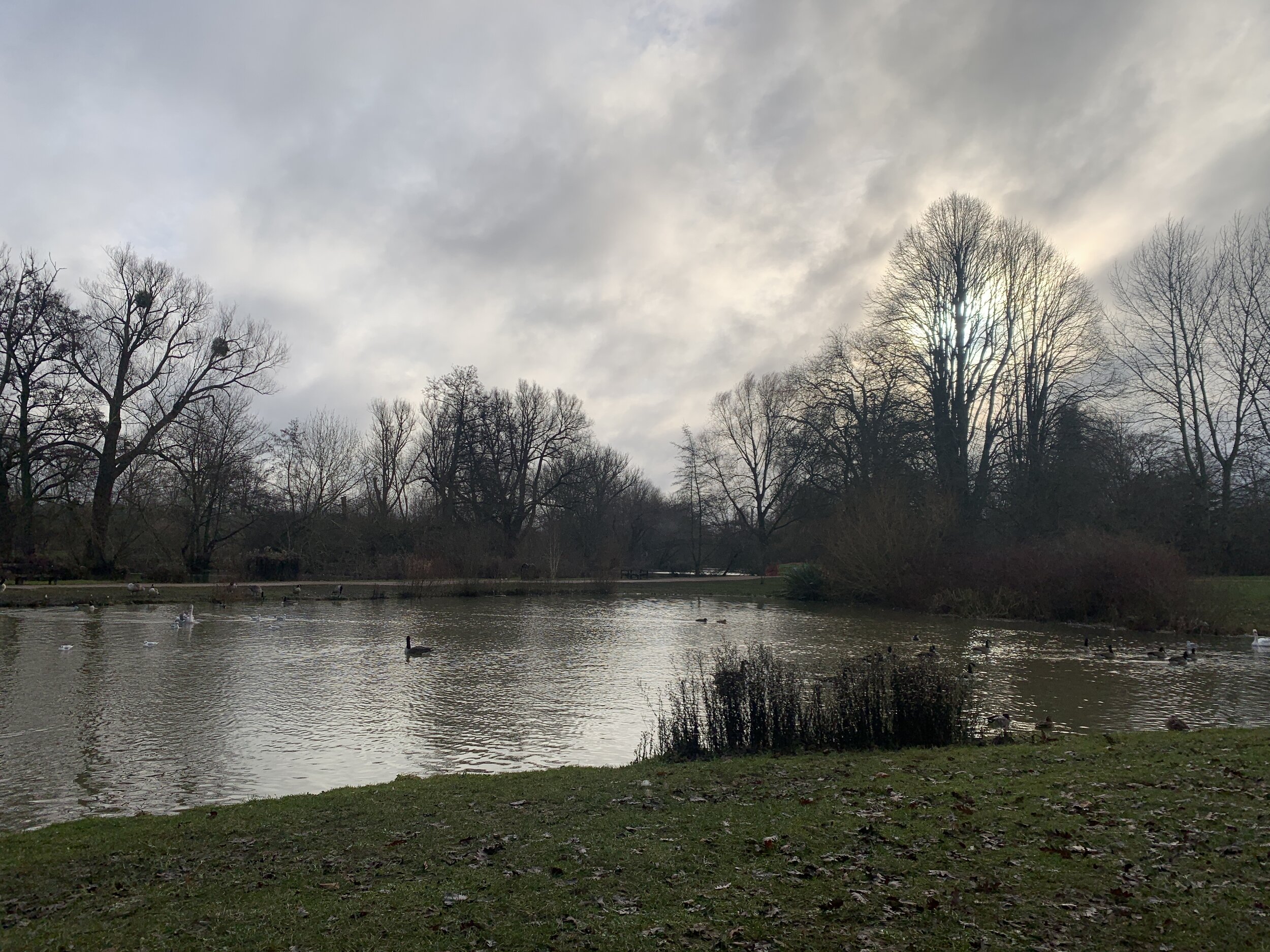 Seeking and Finding Him Requires Our Diligence