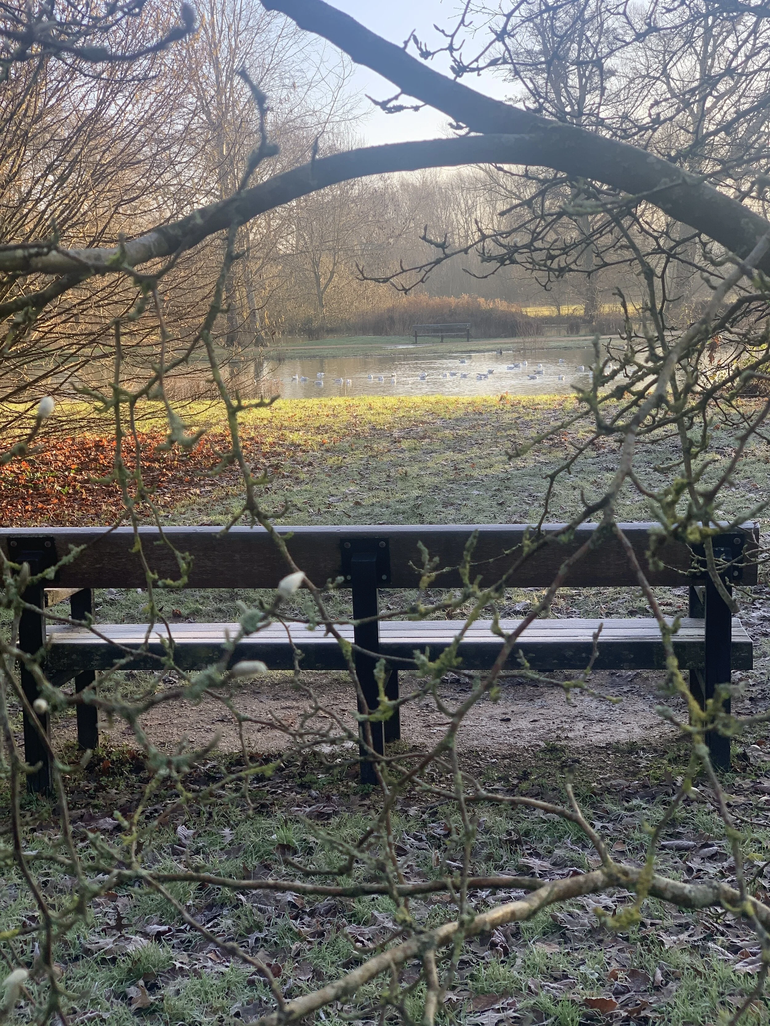 I Want to Hear His Voice, Not All the Noise!