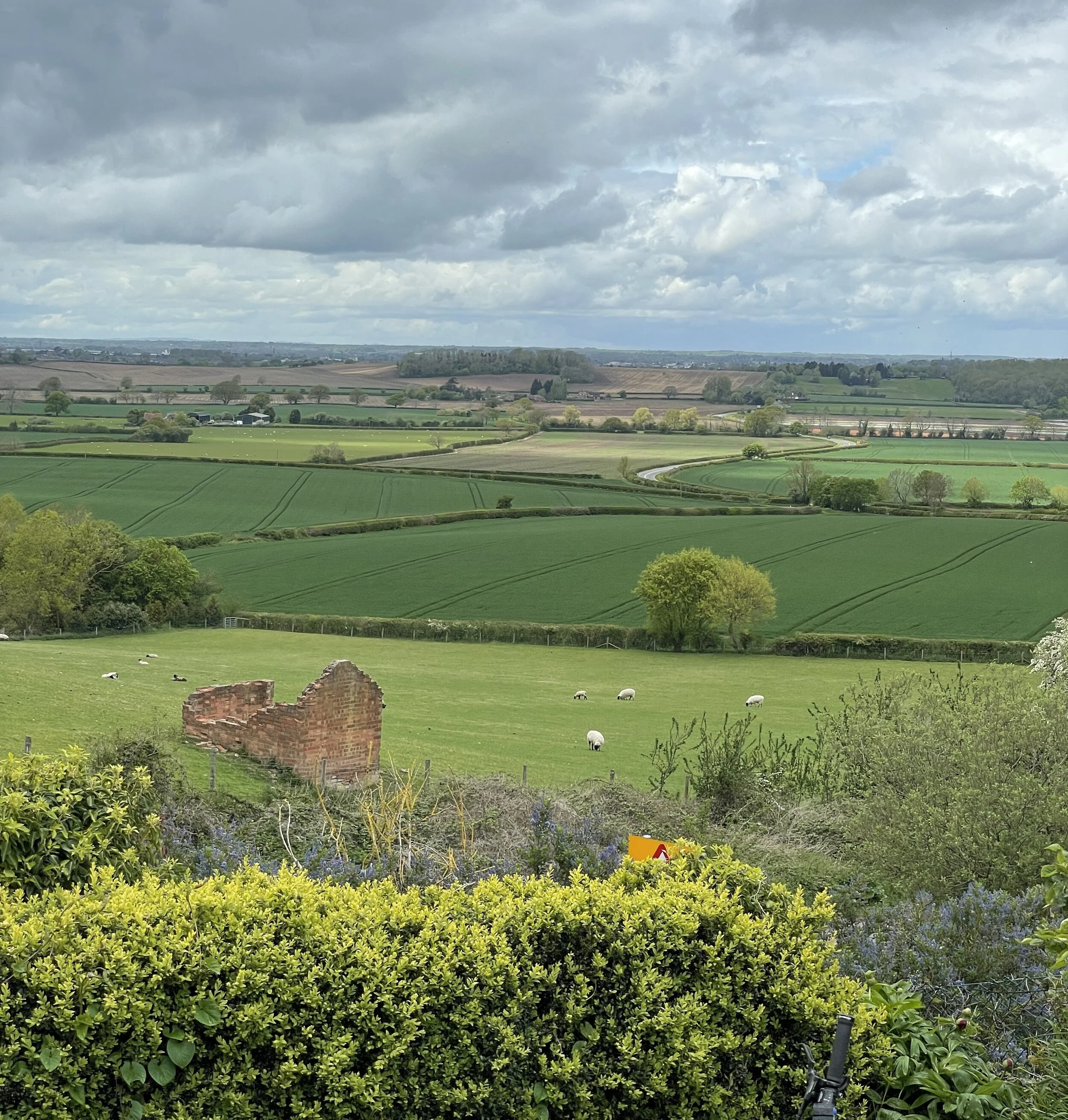 Advocate Or Adversary? How to Train our Children & Podcast