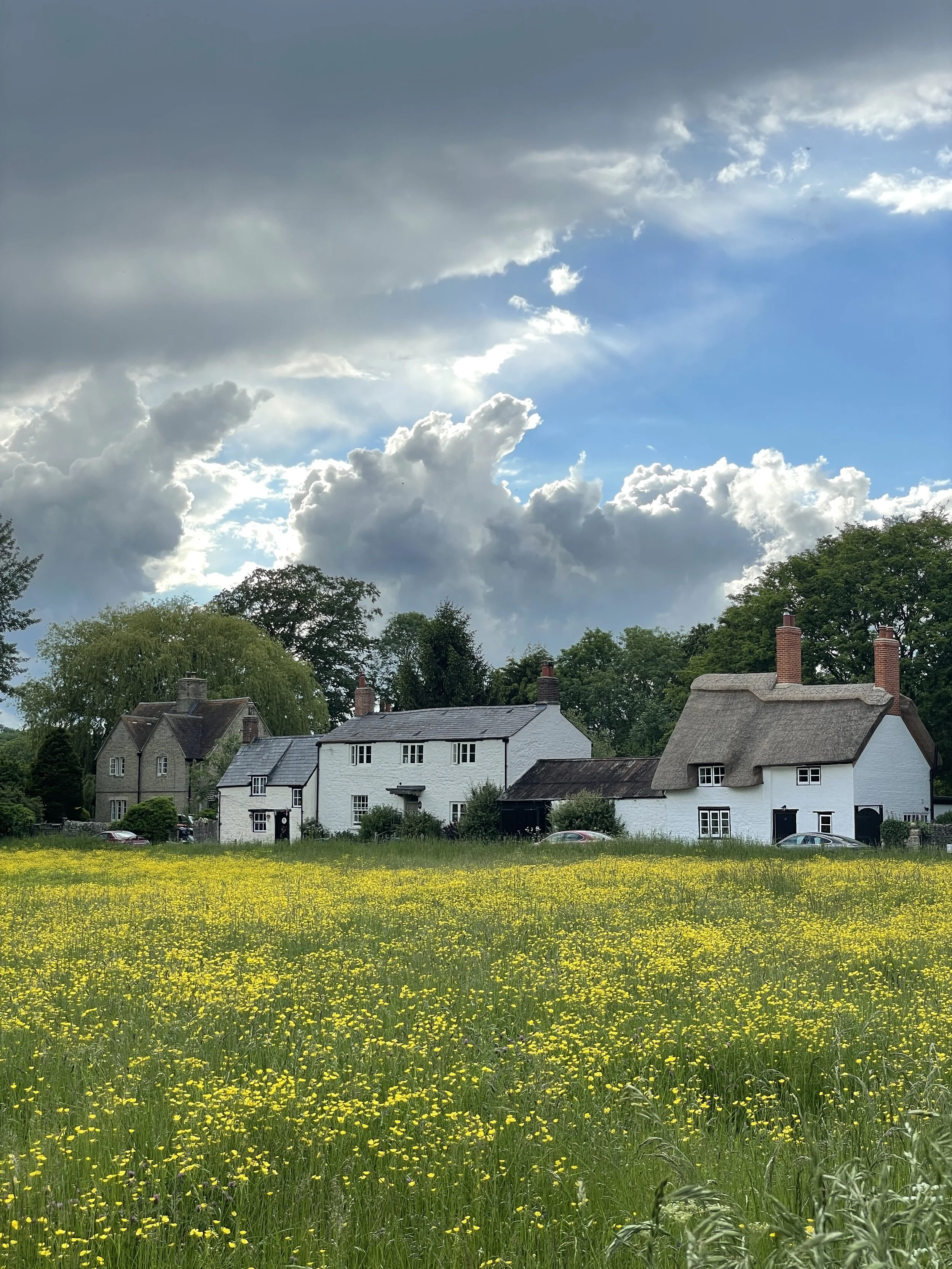 Waiting in the Meantime By Cultivating a Beautiful Life