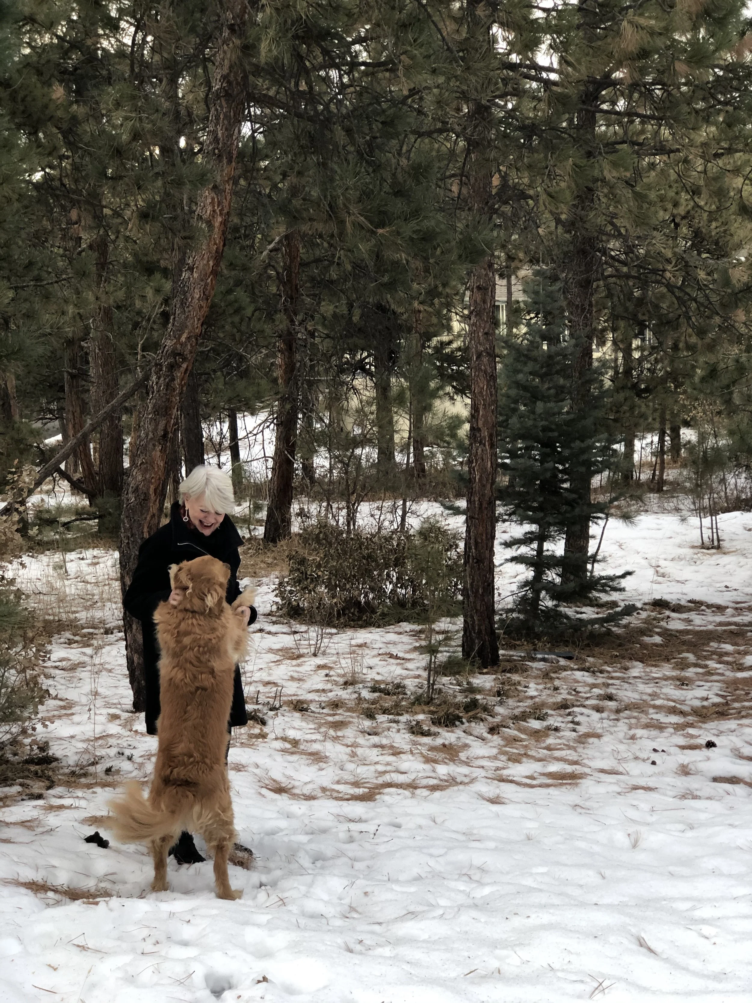 The Wisdom of Cultivating Joy This Christmastide