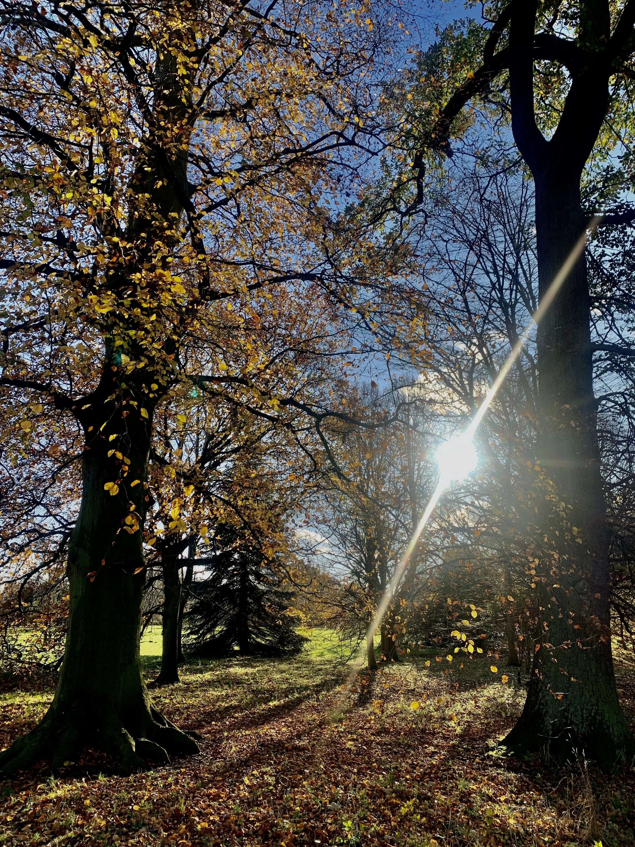 Weathering the Storms of Difficult People: Help I'm Drowning