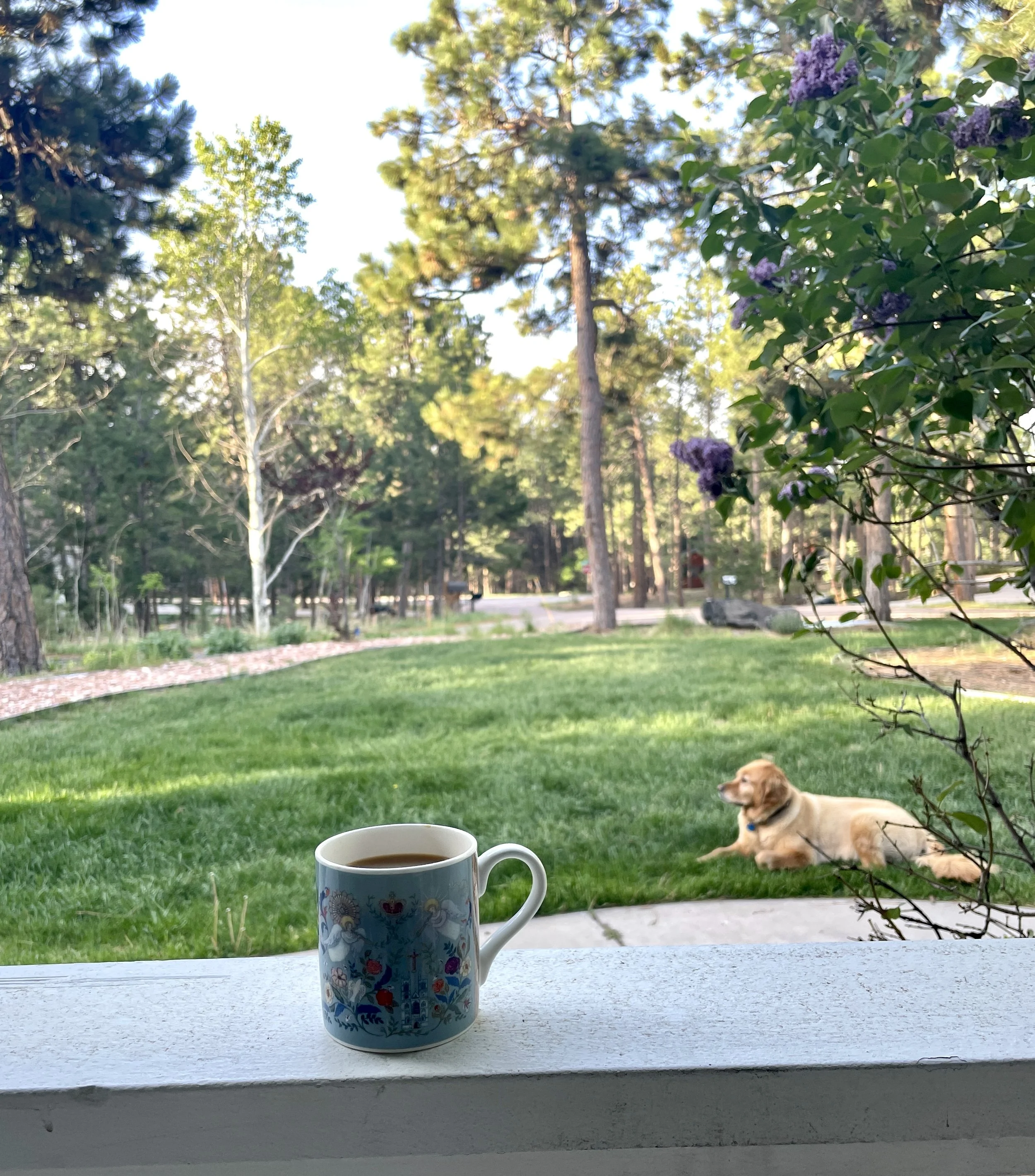 Tea Time Tuesday: Courage Will Lead us Forward: Daniel