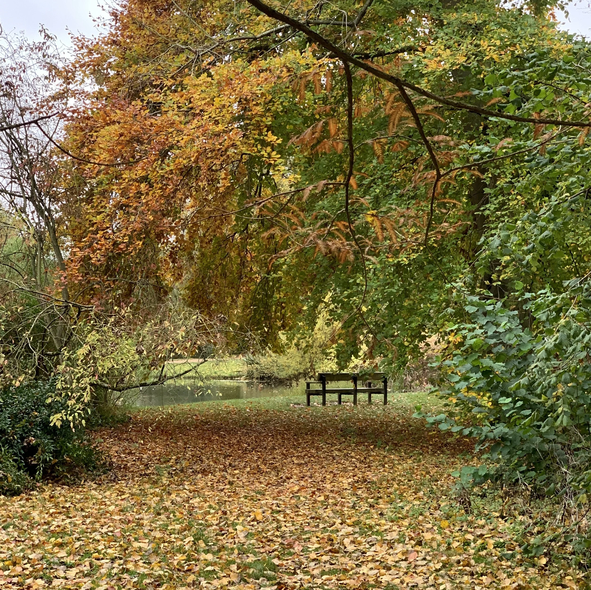 Growing Gratefulness