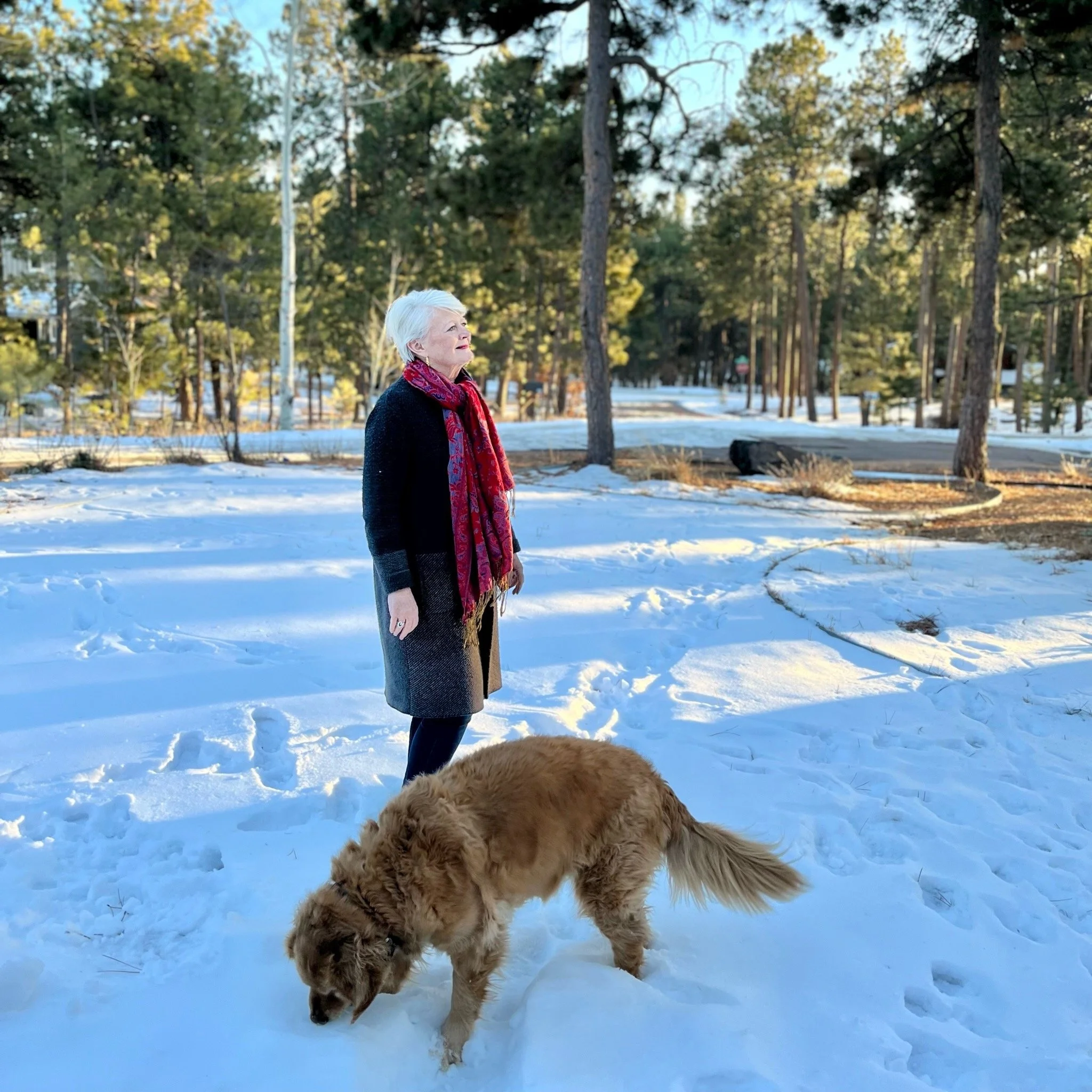 I Believe in Pink &amp; Darcy Dog