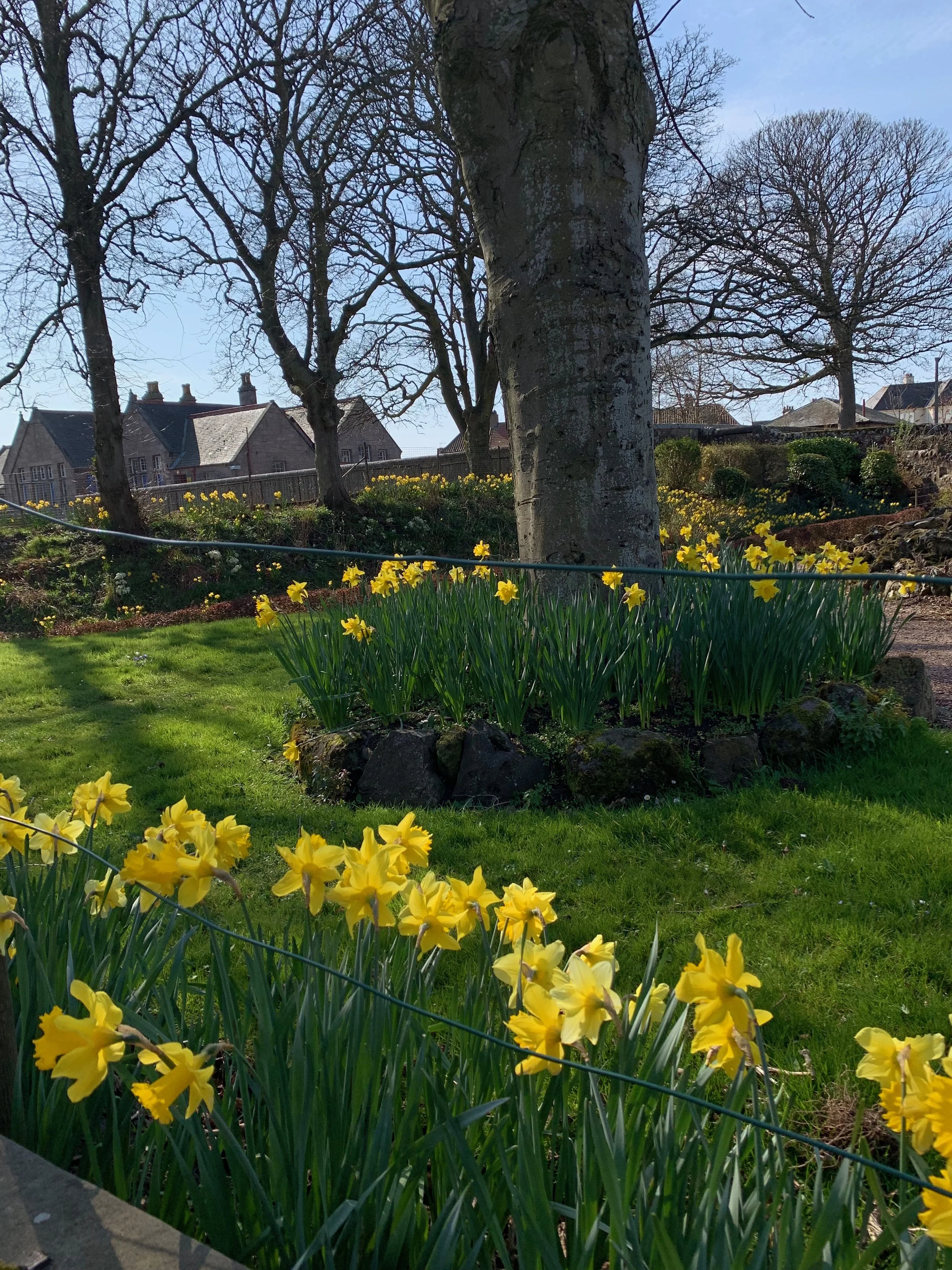 The Power of Returning Spring