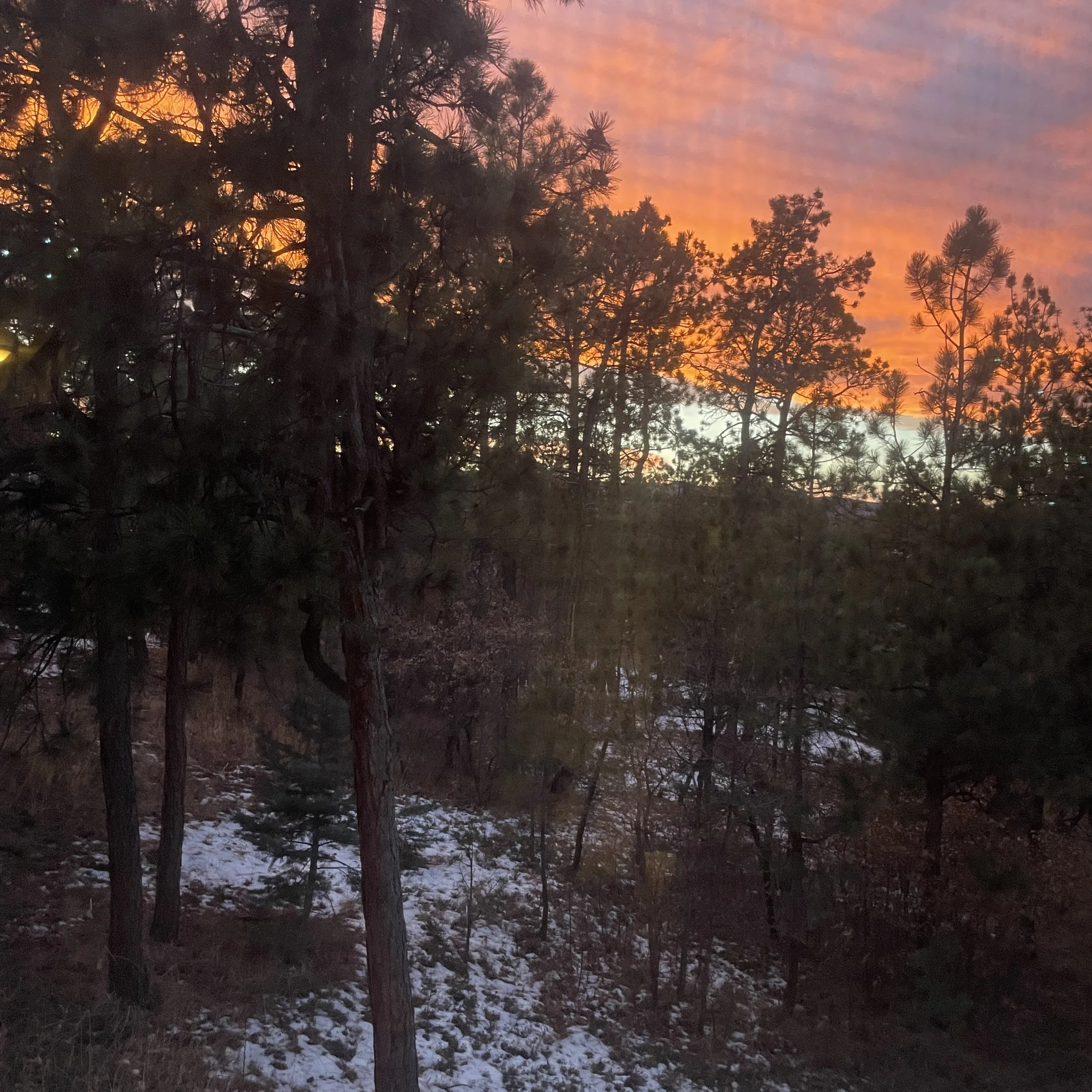 Tea Time Tuesday: Endurance With Strength Through All Seasons