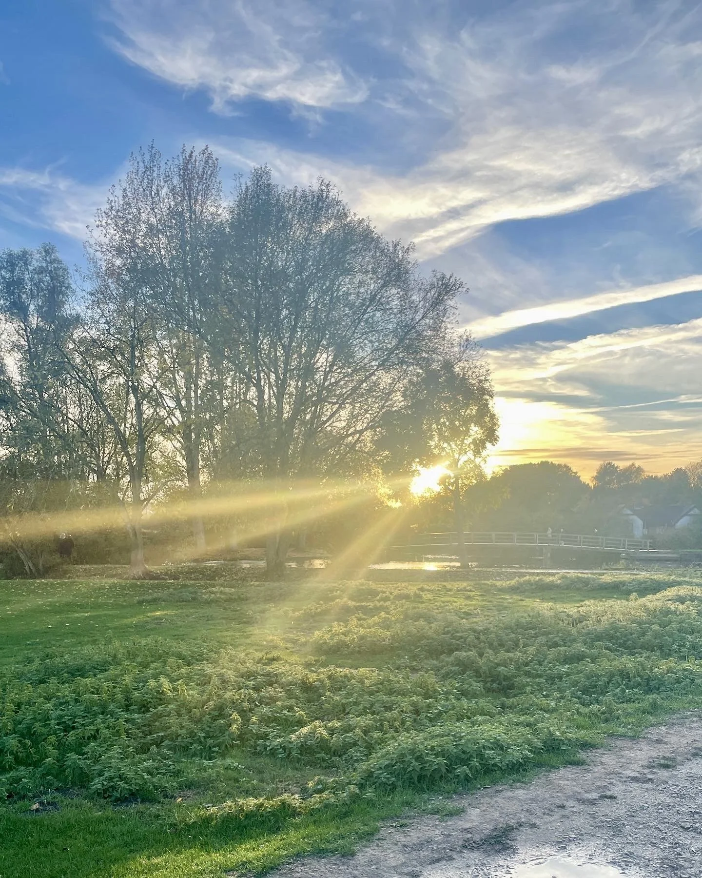 Discernment to Understand & See Truth & Beauty