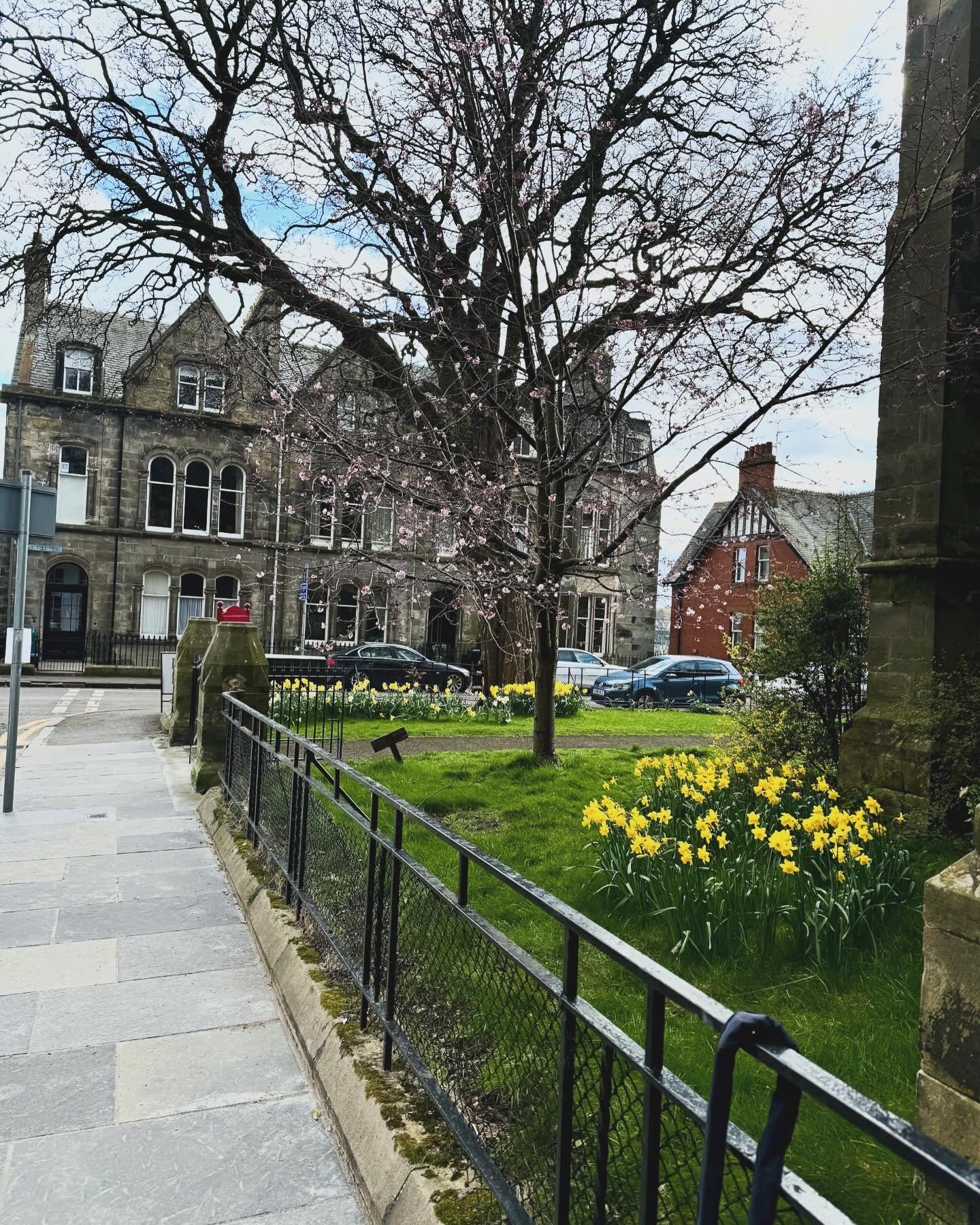 Tea Time Tuesday: The Gift of a Grateful Heart