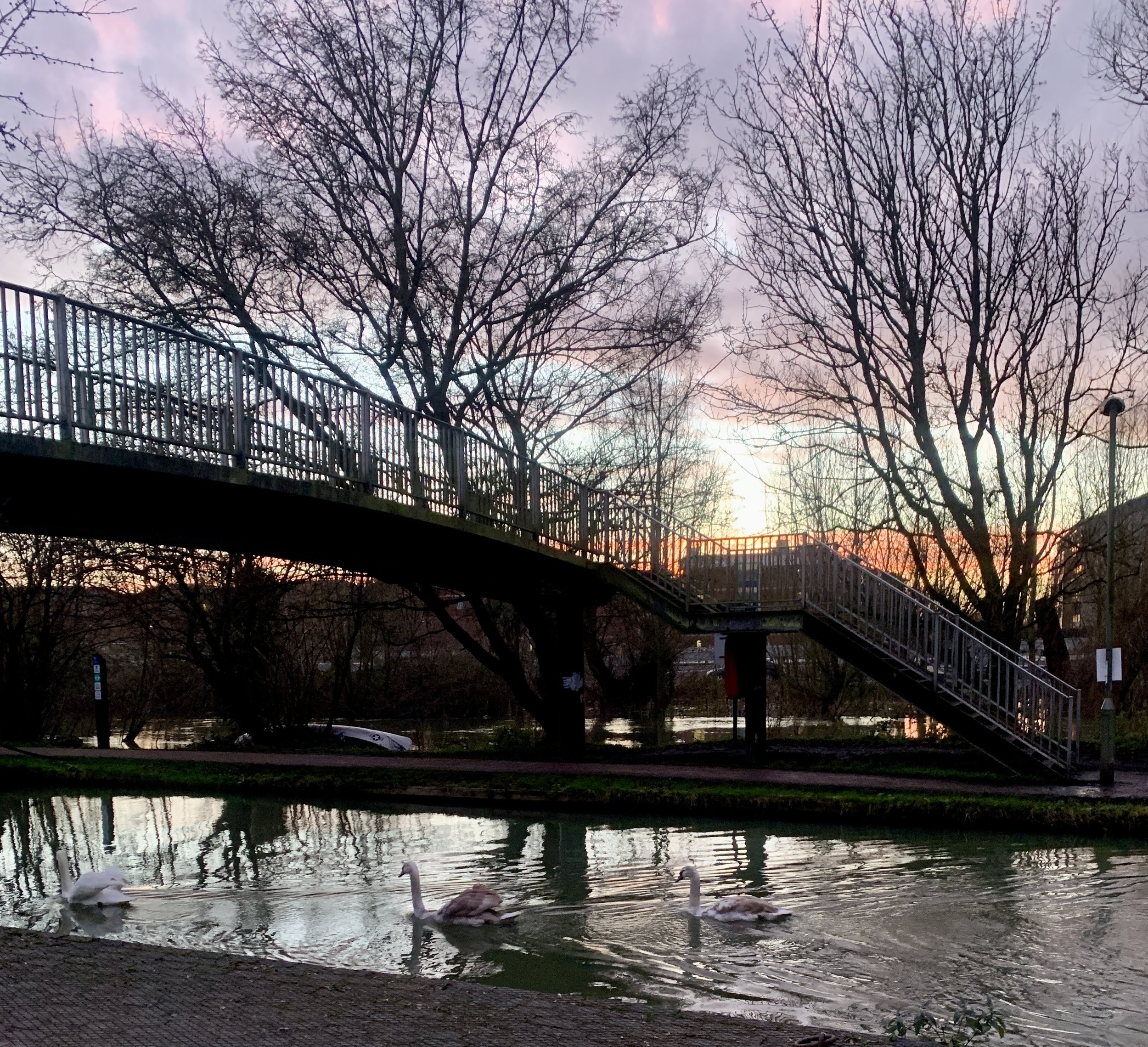 Tea Time Tuesday: No One Sees Me — I Feel Lost!