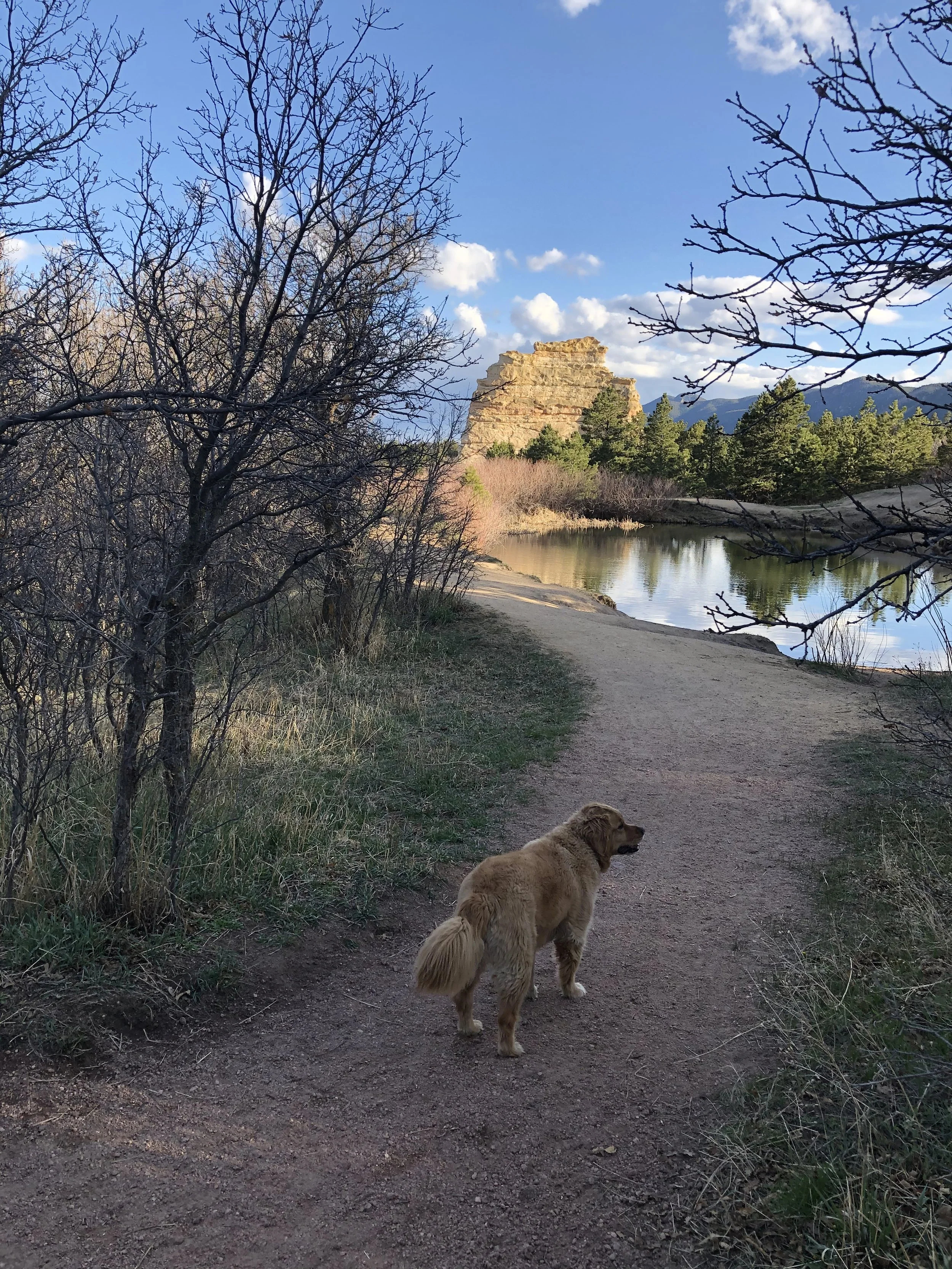 Tea Time Tuesday: Diligence: Character That Keeps Us Going Forward