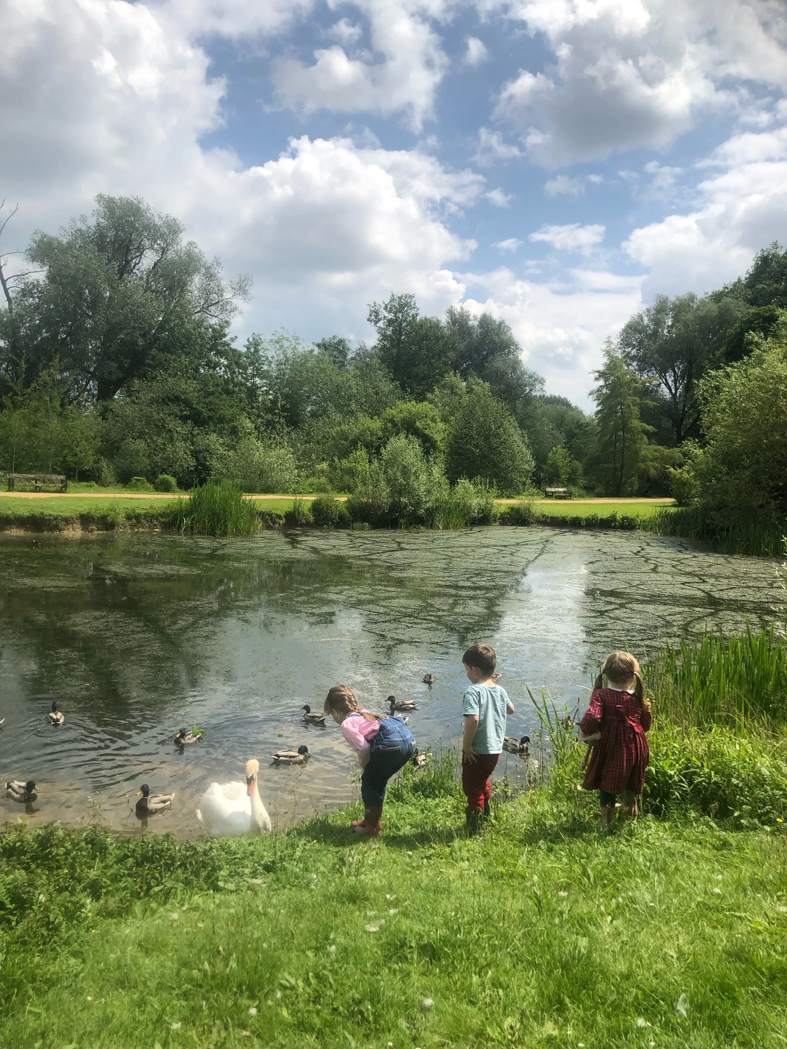 Tea Time Tuesday: Lifegiving in Real Time