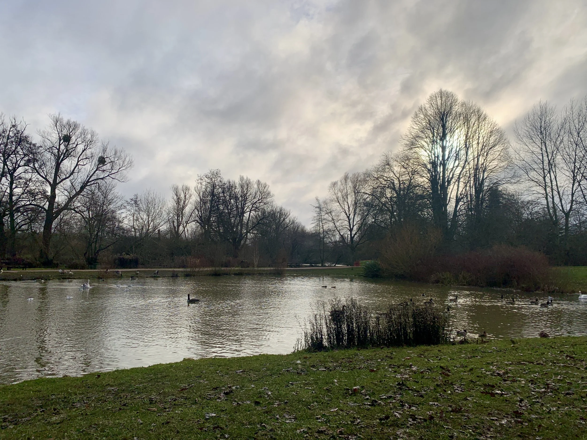 Tea Time Tuesday: Beside Still Waters